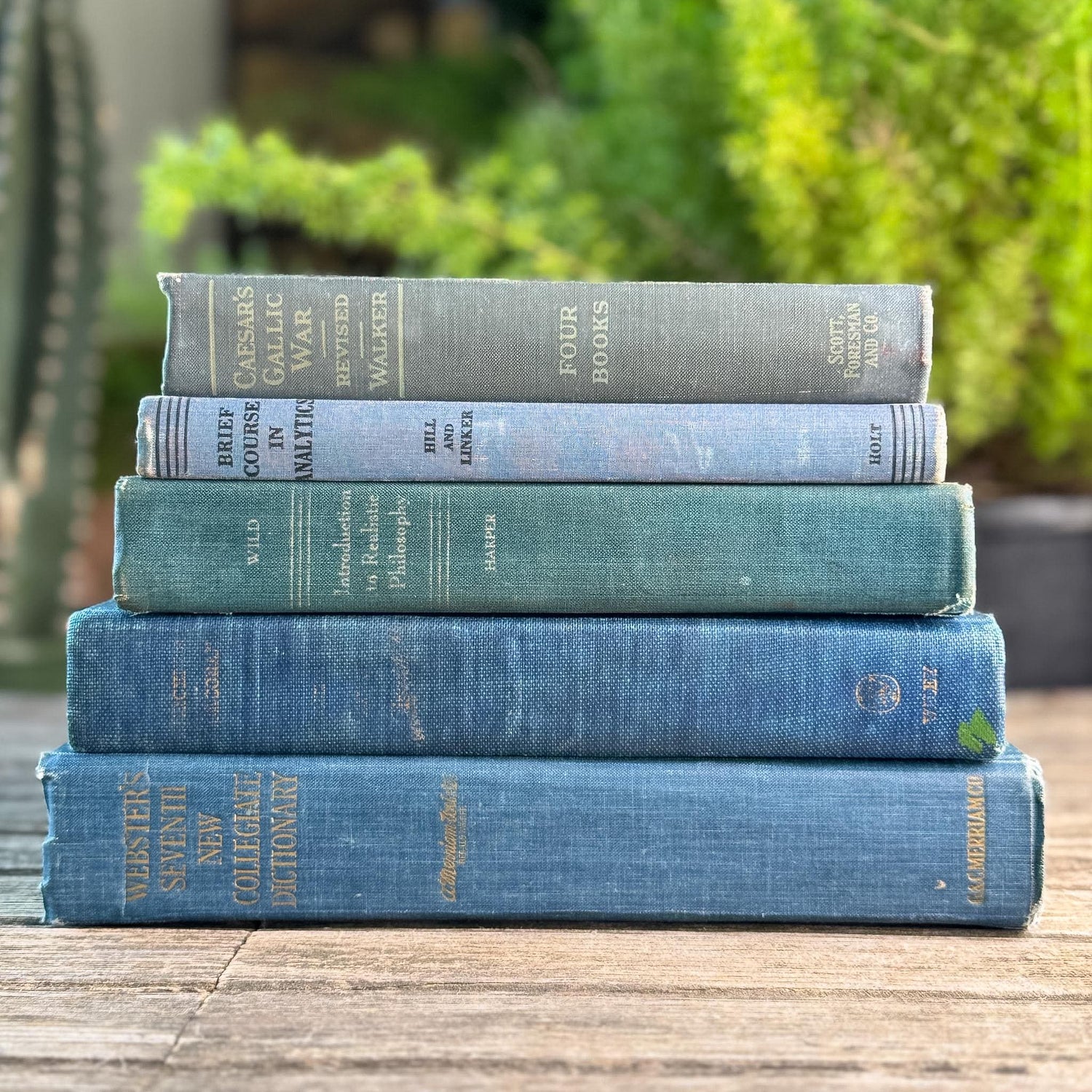 Denim Blue Vintage Book Bundle for Clean Academic Shelf Styling