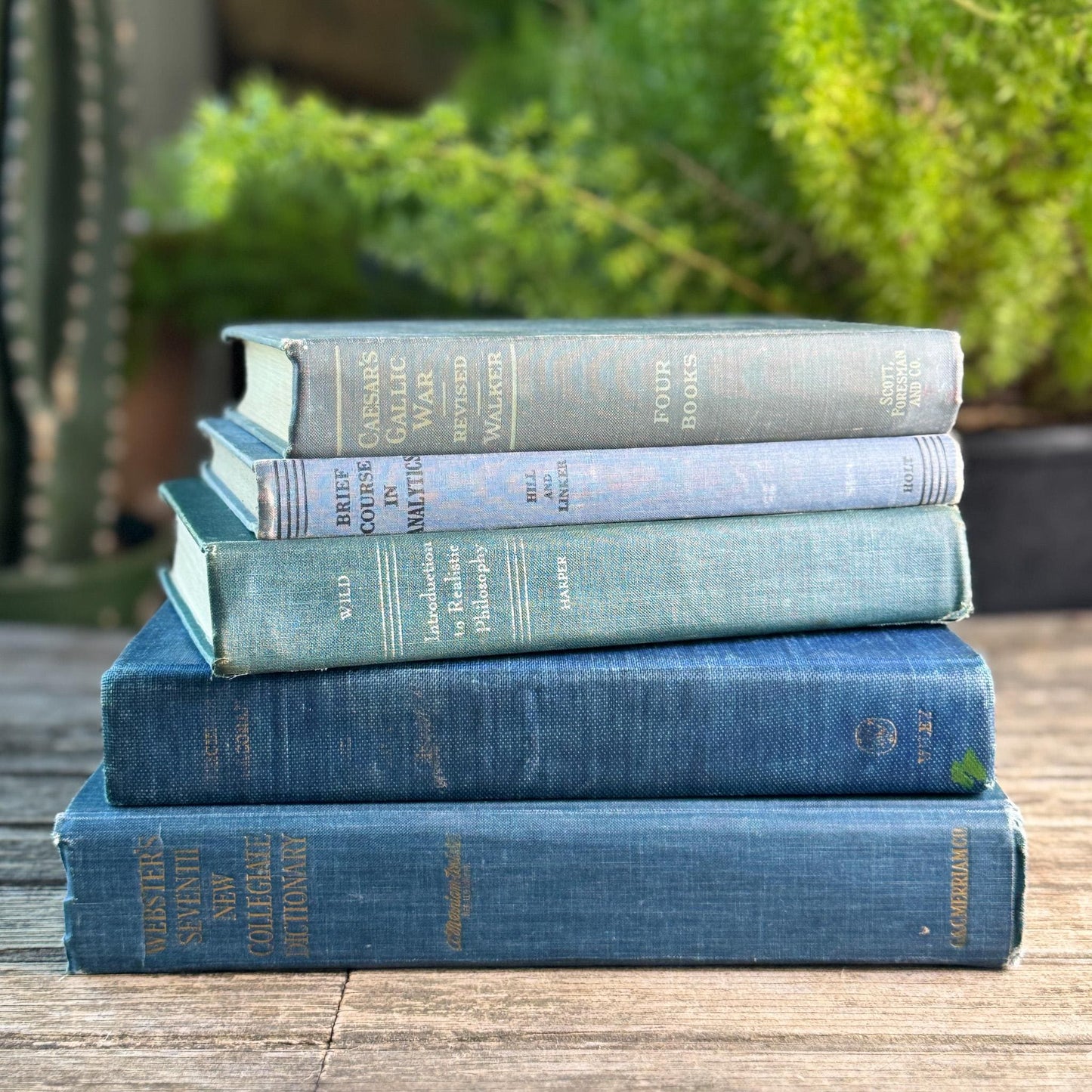 Denim Blue Vintage Book Bundle for Clean Academic Shelf Styling