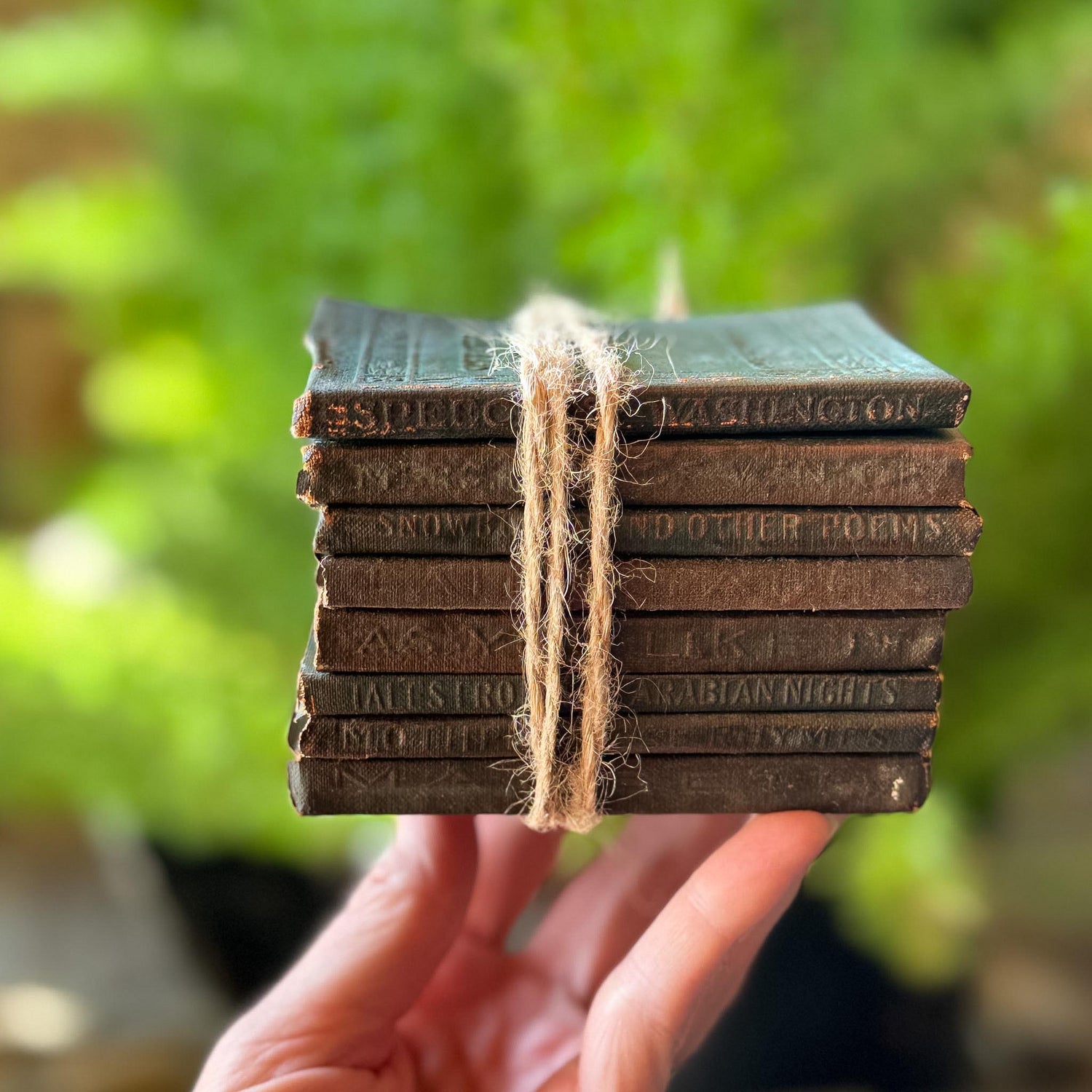 Tiny Antique Green Little Leather Library Books