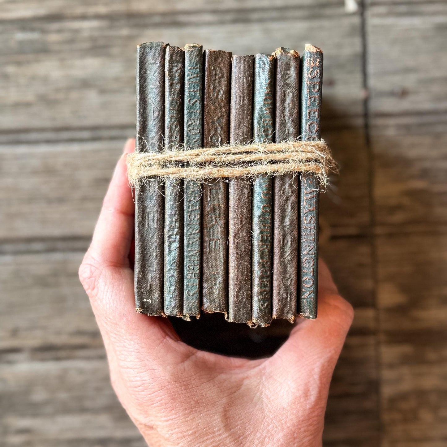Tiny Antique Green Little Leather Library Books