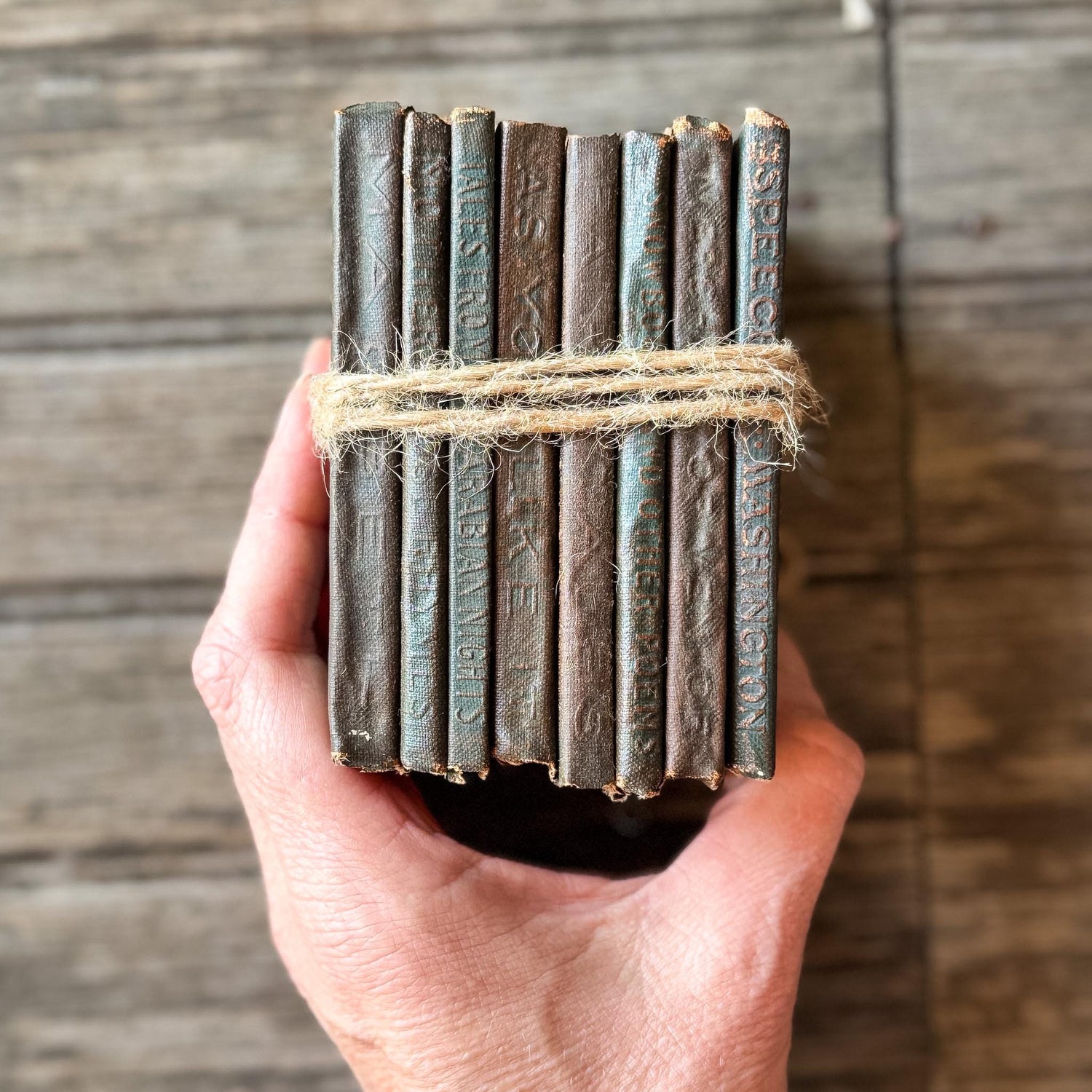 Tiny Antique Green Little Leather Library Books