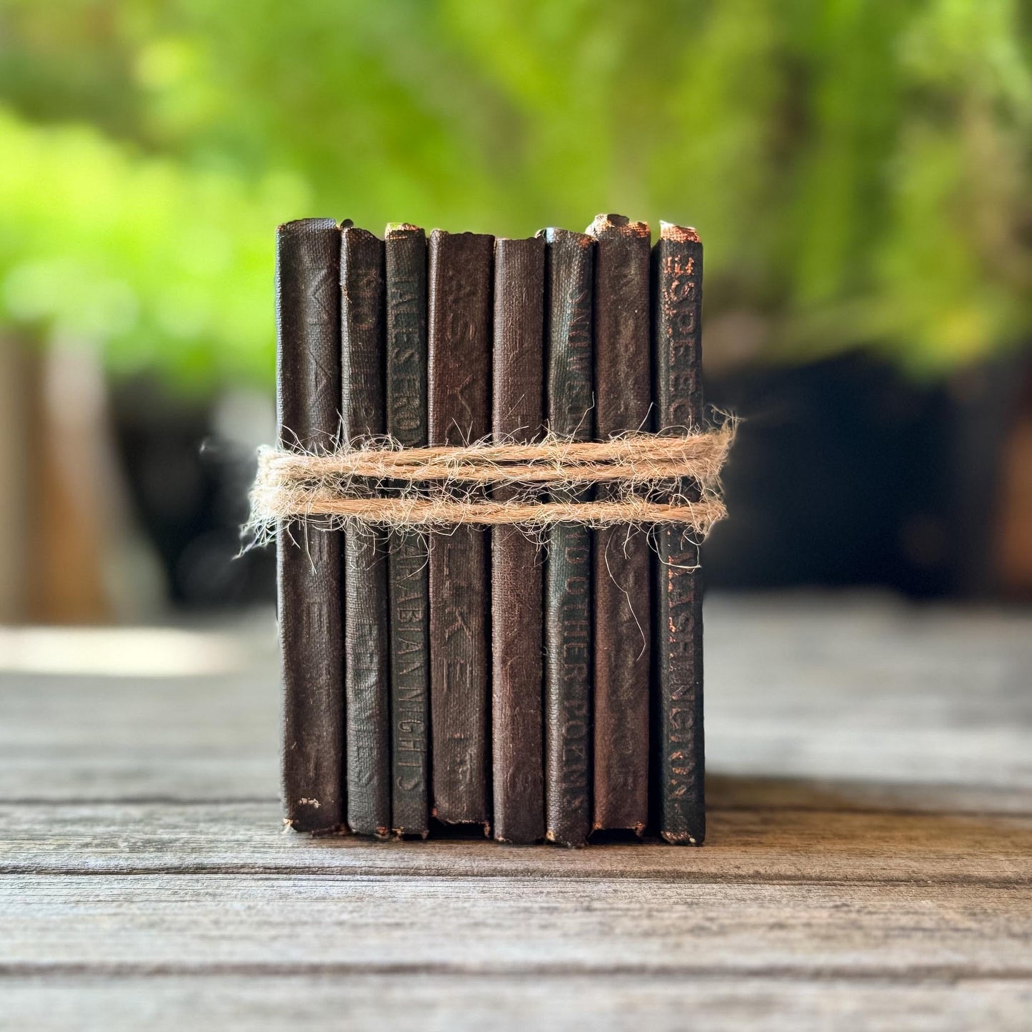Tiny Antique Green Little Leather Library Books