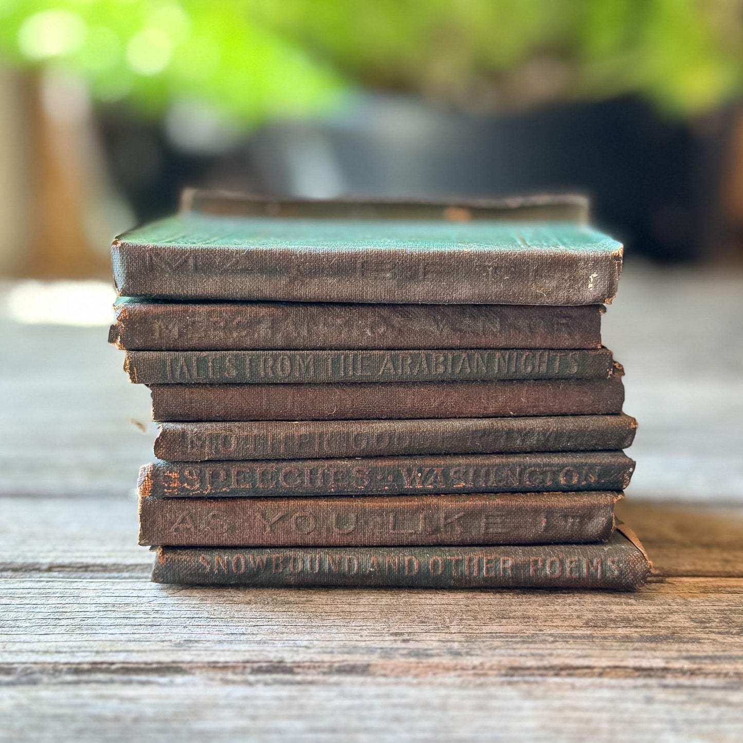 Tiny Antique Green Little Leather Library Books