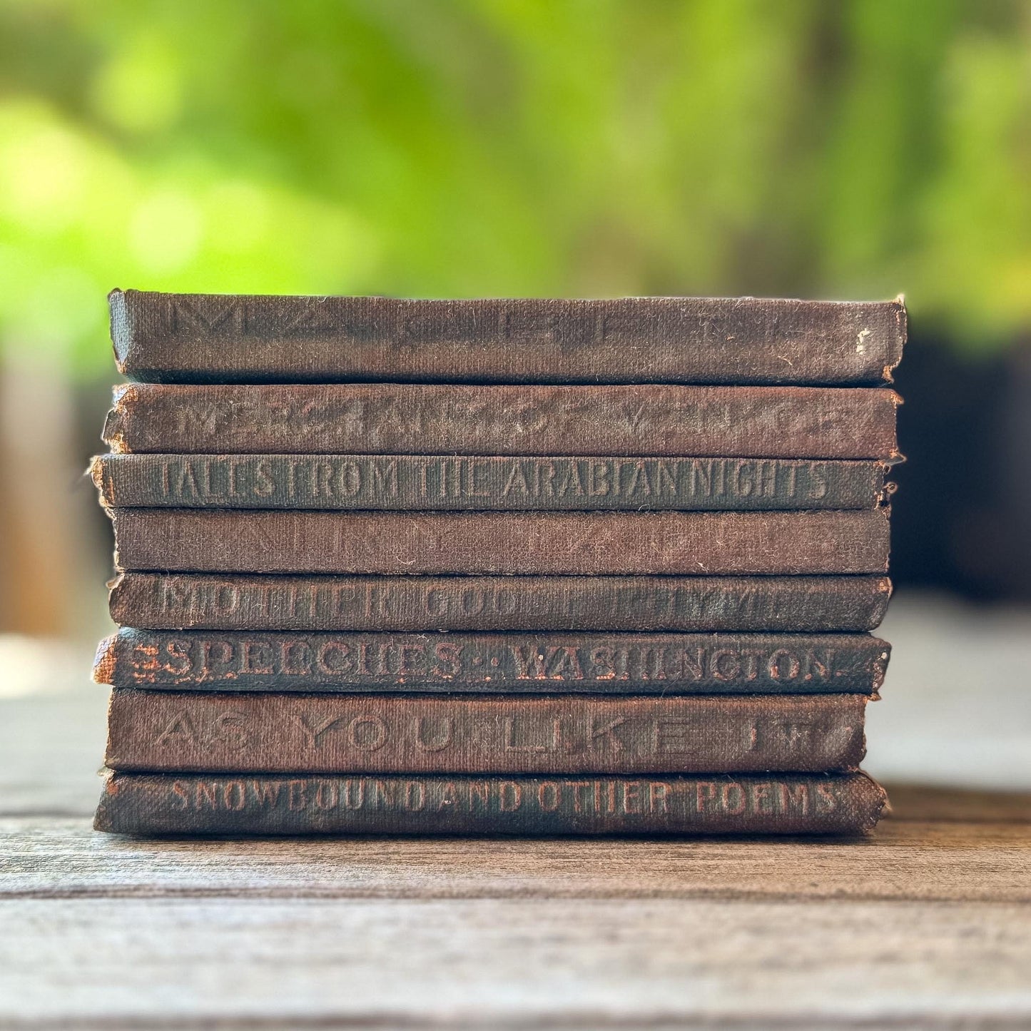 Tiny Antique Green Little Leather Library Books