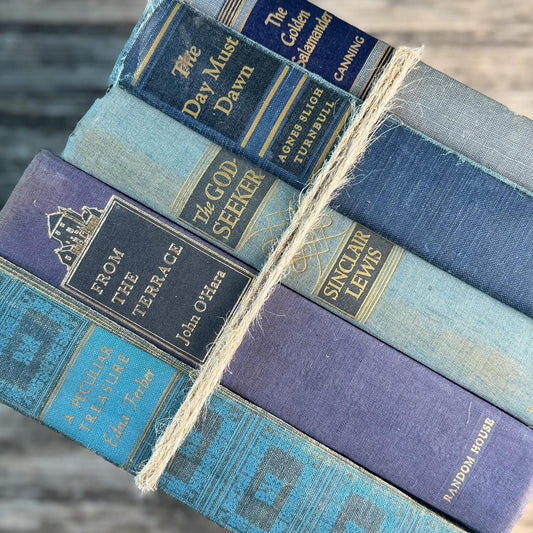 Blue and Black Soft Mid Century Modern Decorative Books for Display
