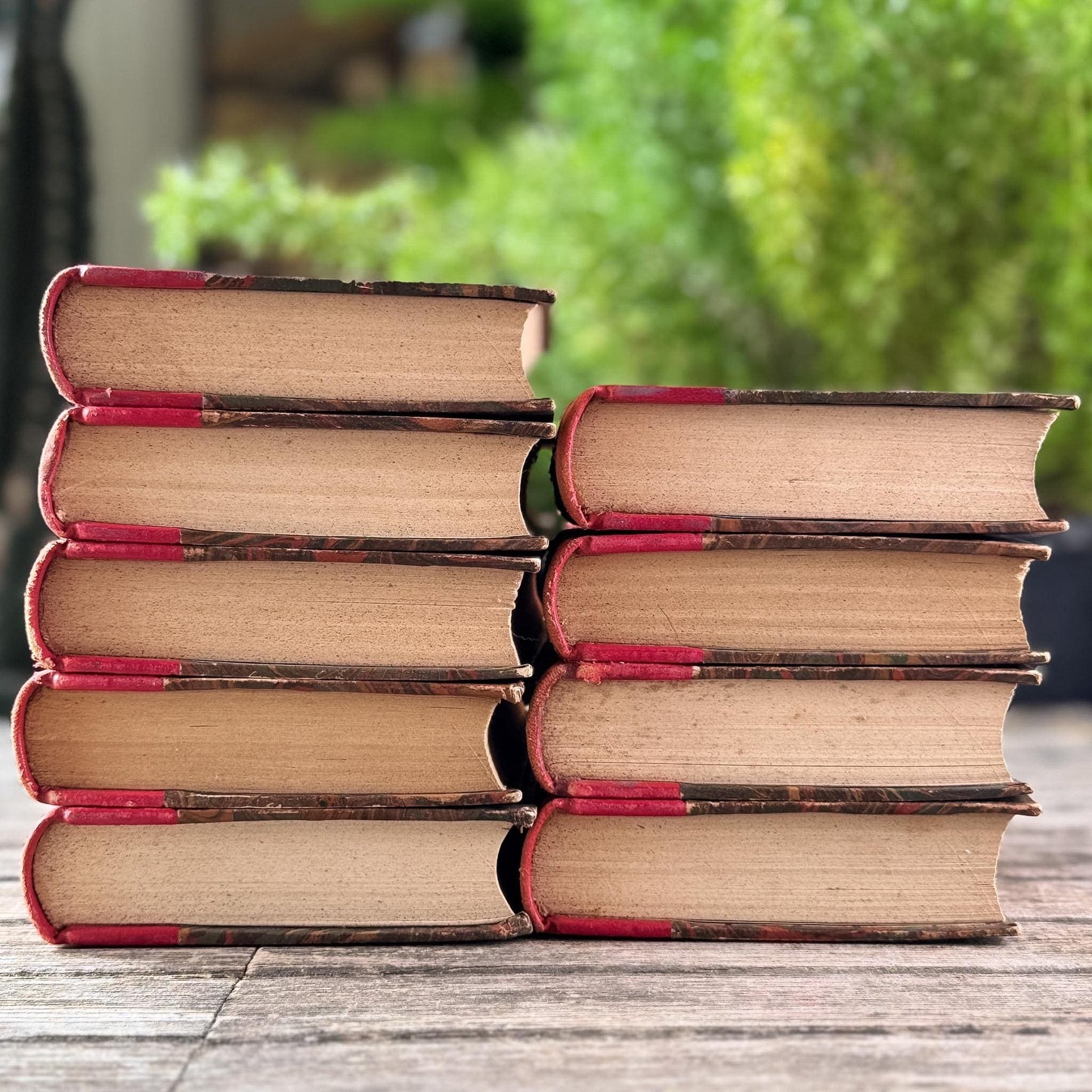 Antique French Red Leather Anatole France Book Set