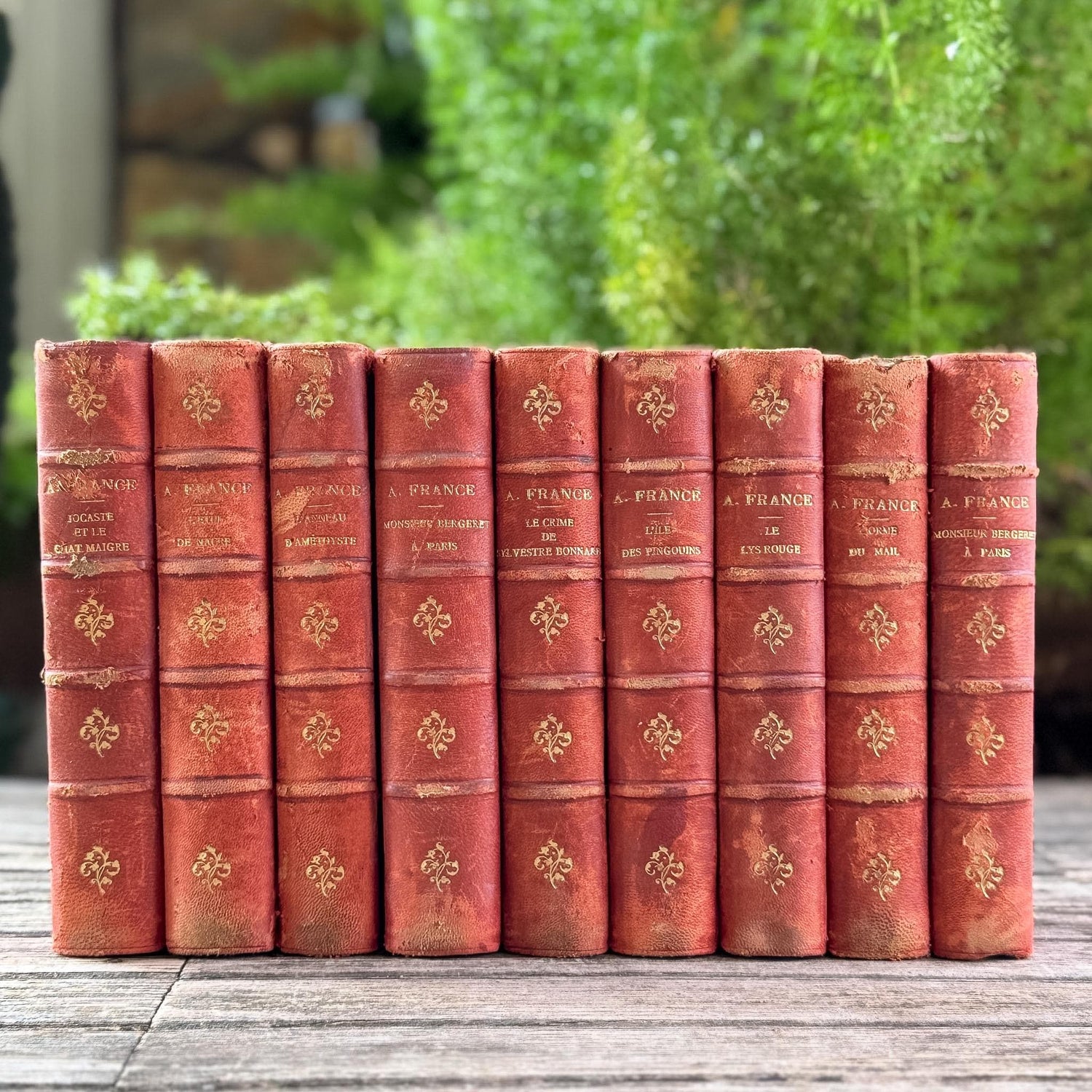 Antique French Red Leather Anatole France Book Set