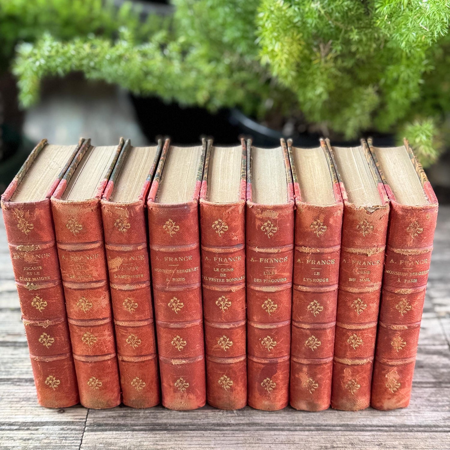 Antique French Red Leather Anatole France Book Set