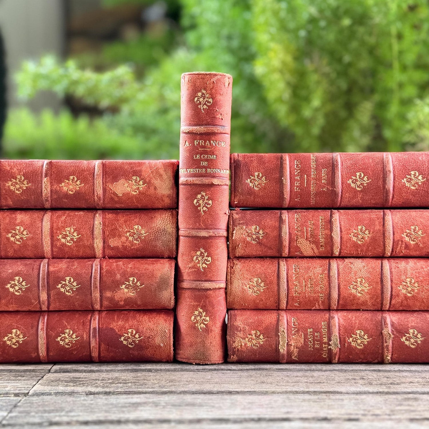 Antique French Red Leather Anatole France Book Set