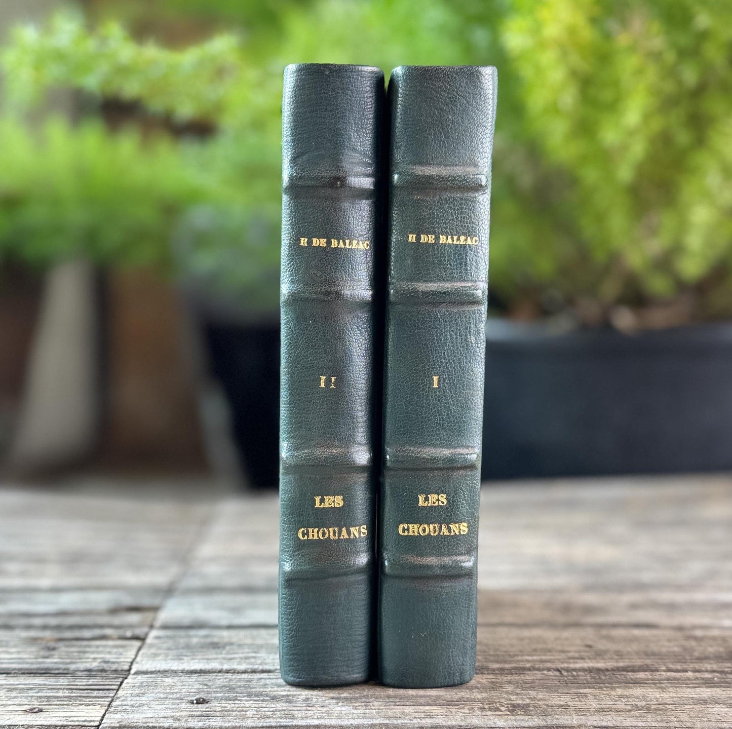 Balzac's Les Chouans, Two-Volume Antique Leather-Bound French Editions, 19th Century