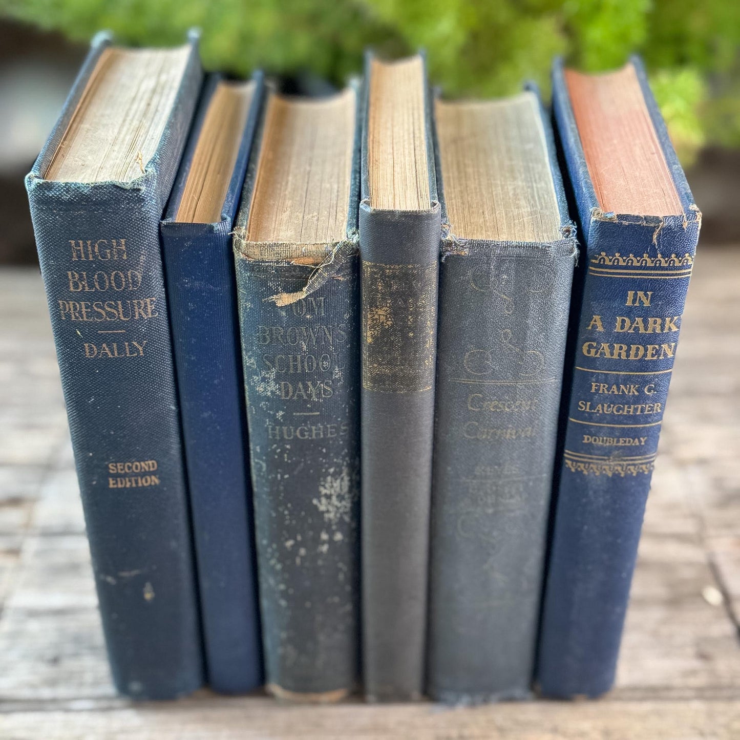 Indigo Blue, Navy, and Denim Vintage Book Set for Shelf Styling