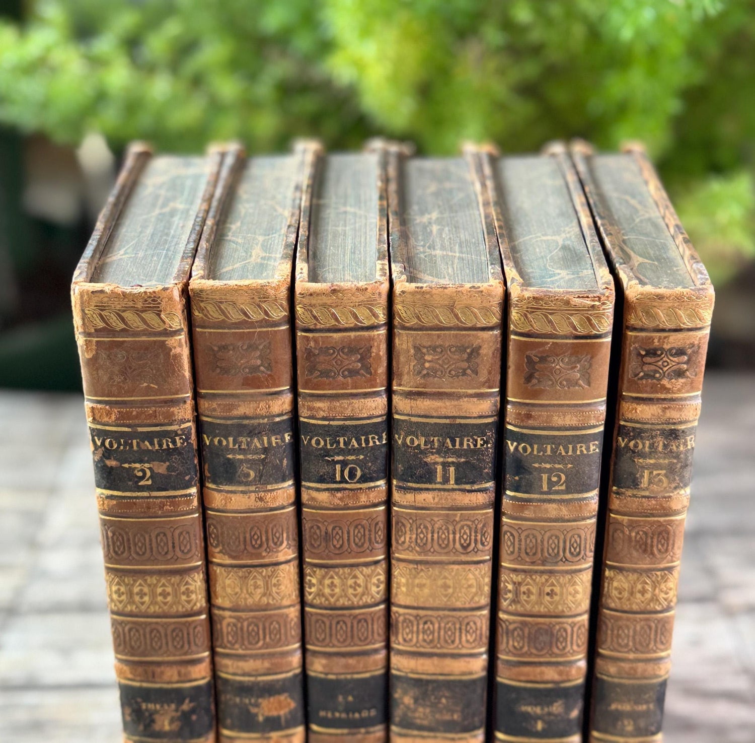 Antique Leather-Bound Voltaire Books in French, 1825