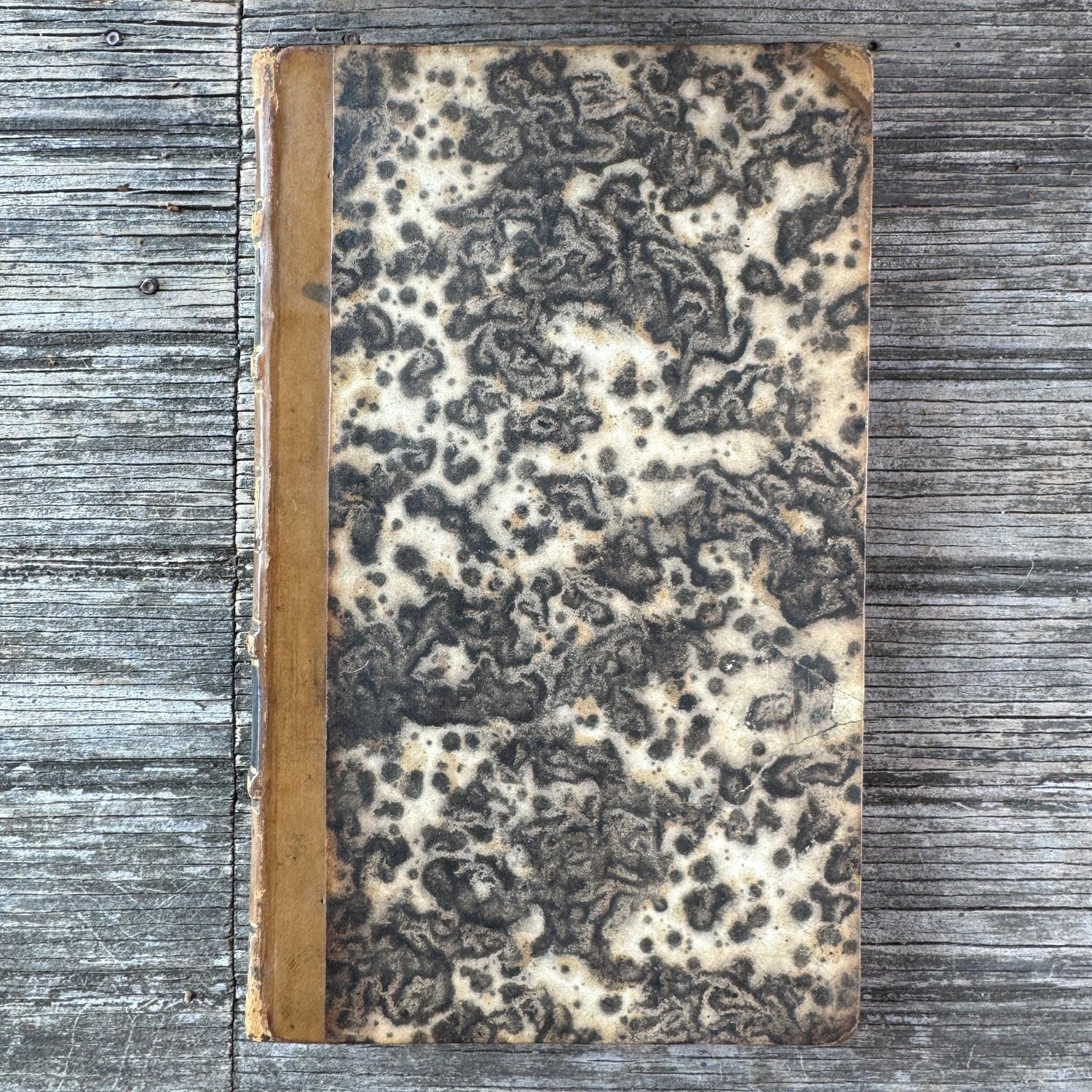 Antique Leather-Bound Voltaire Books in French, 1825