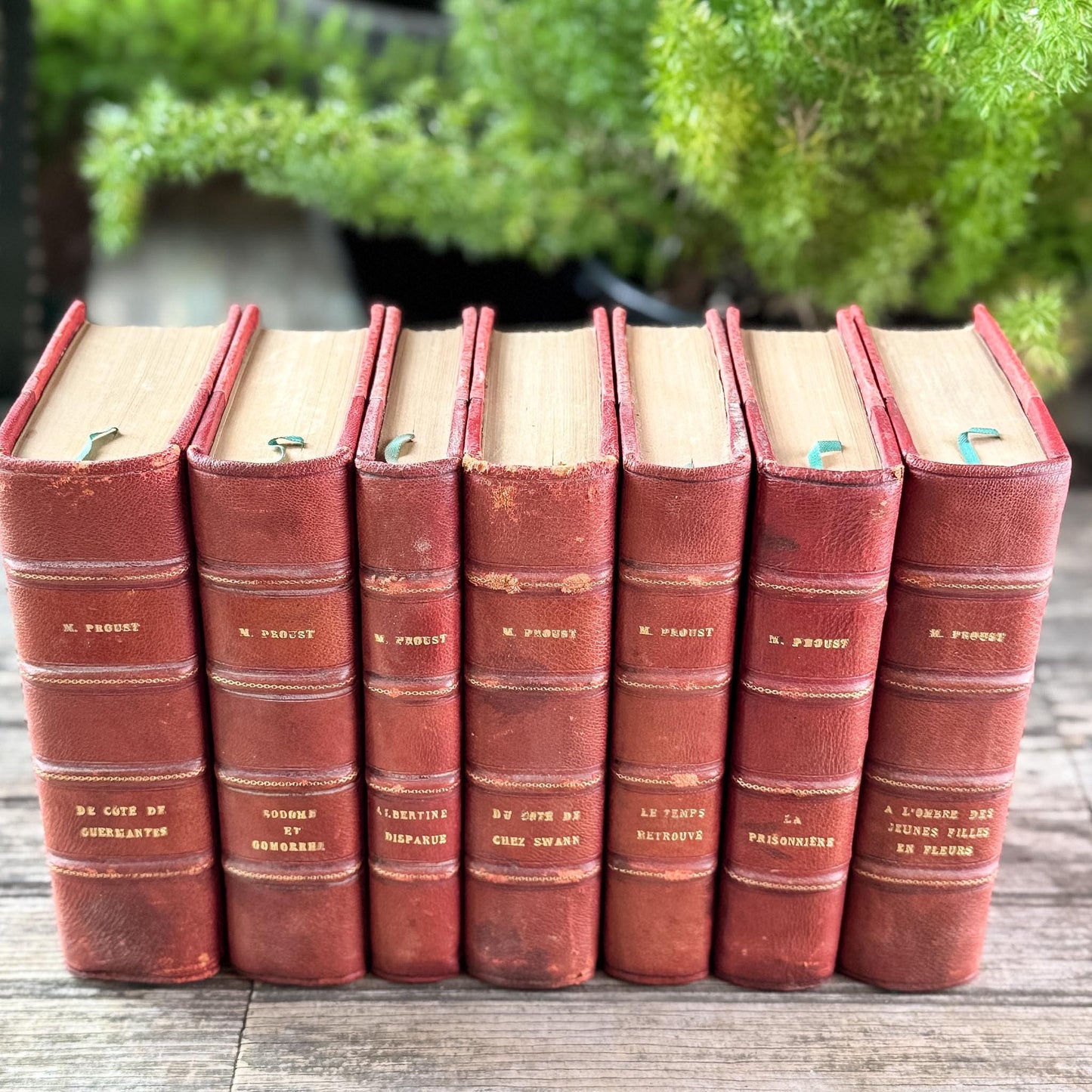 Antique French Red Leather-Bound Proust In Search of Lost Time Complete Book Set, 1919-1927