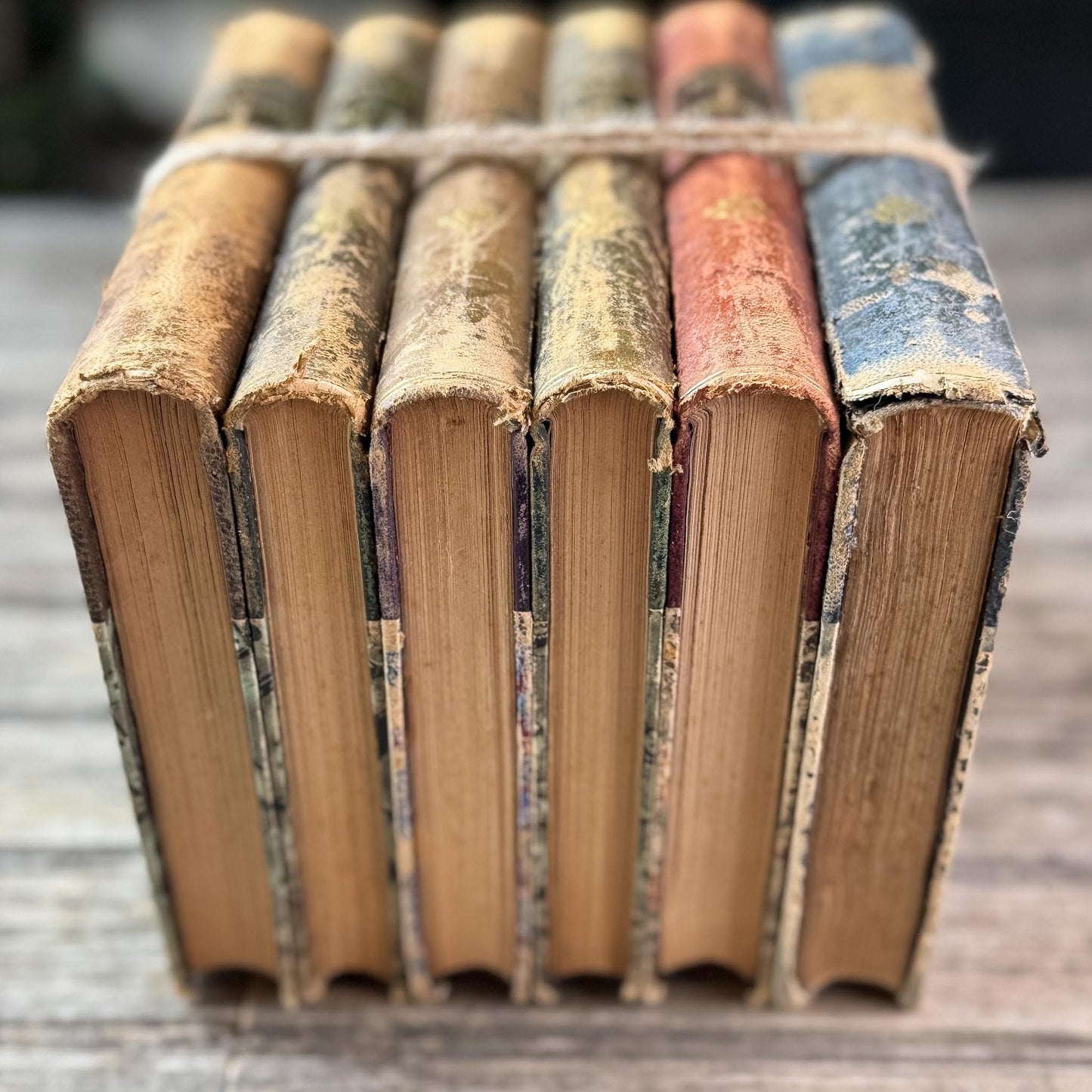 Antique French Leather-Bound Brown, Oxblood, and Navy Books for Library Styling