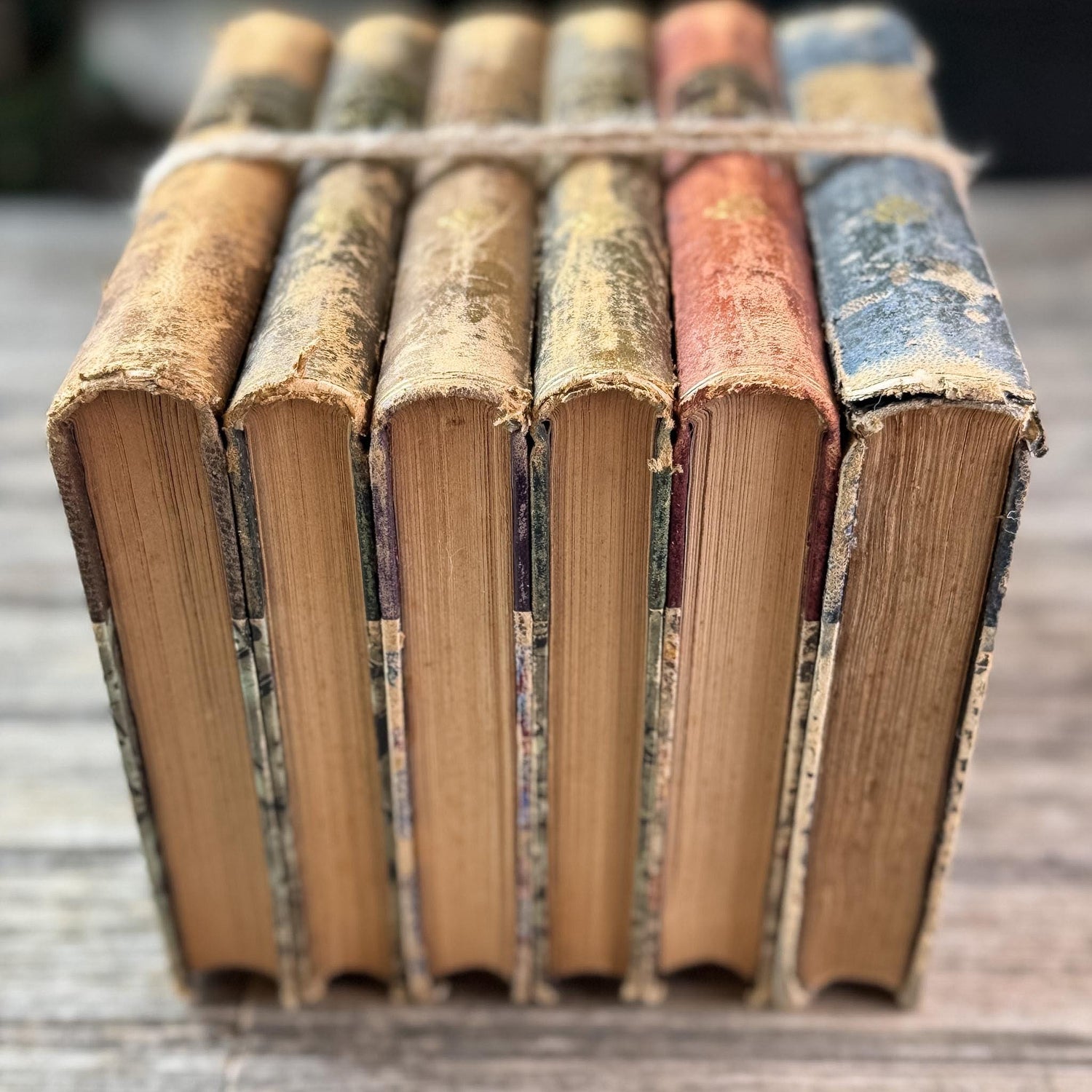 Antique French Leather-Bound Brown, Oxblood, and Navy Books for Library Styling