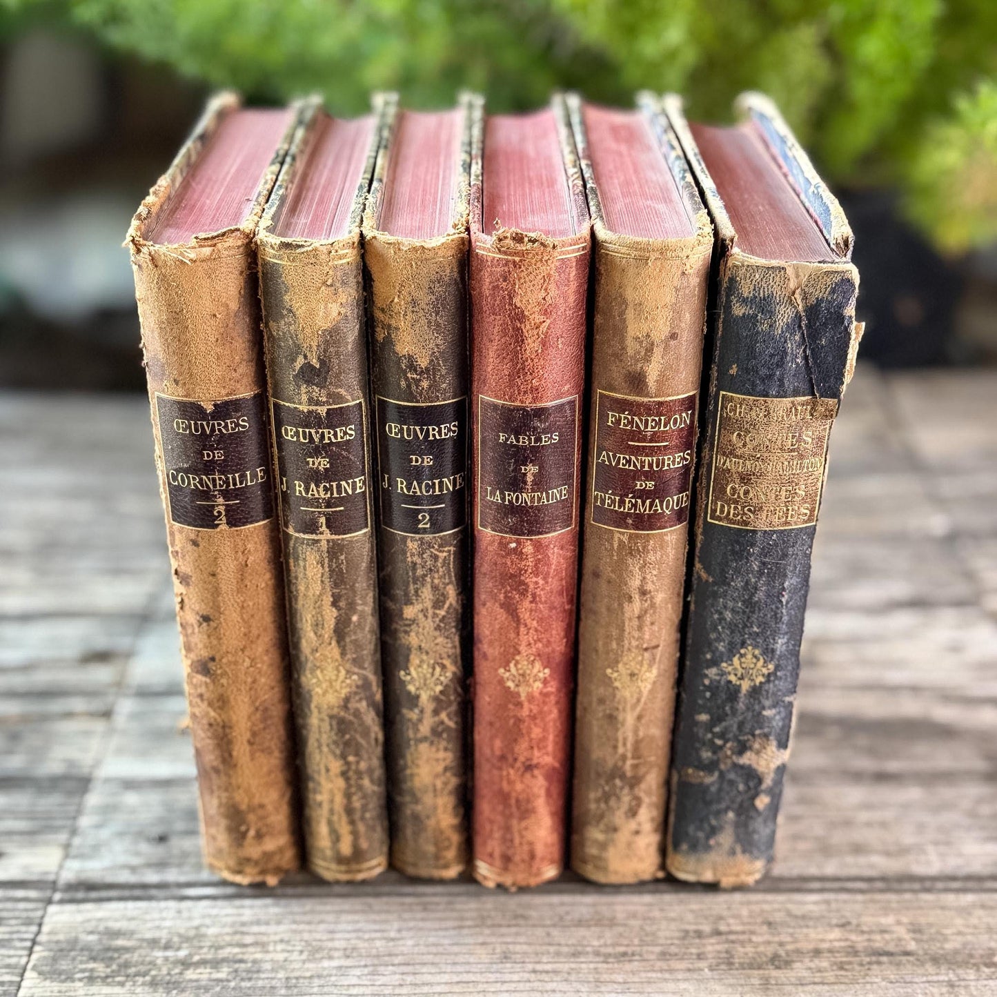 Antique French Leather-Bound Brown, Oxblood, and Navy Books for Library Styling