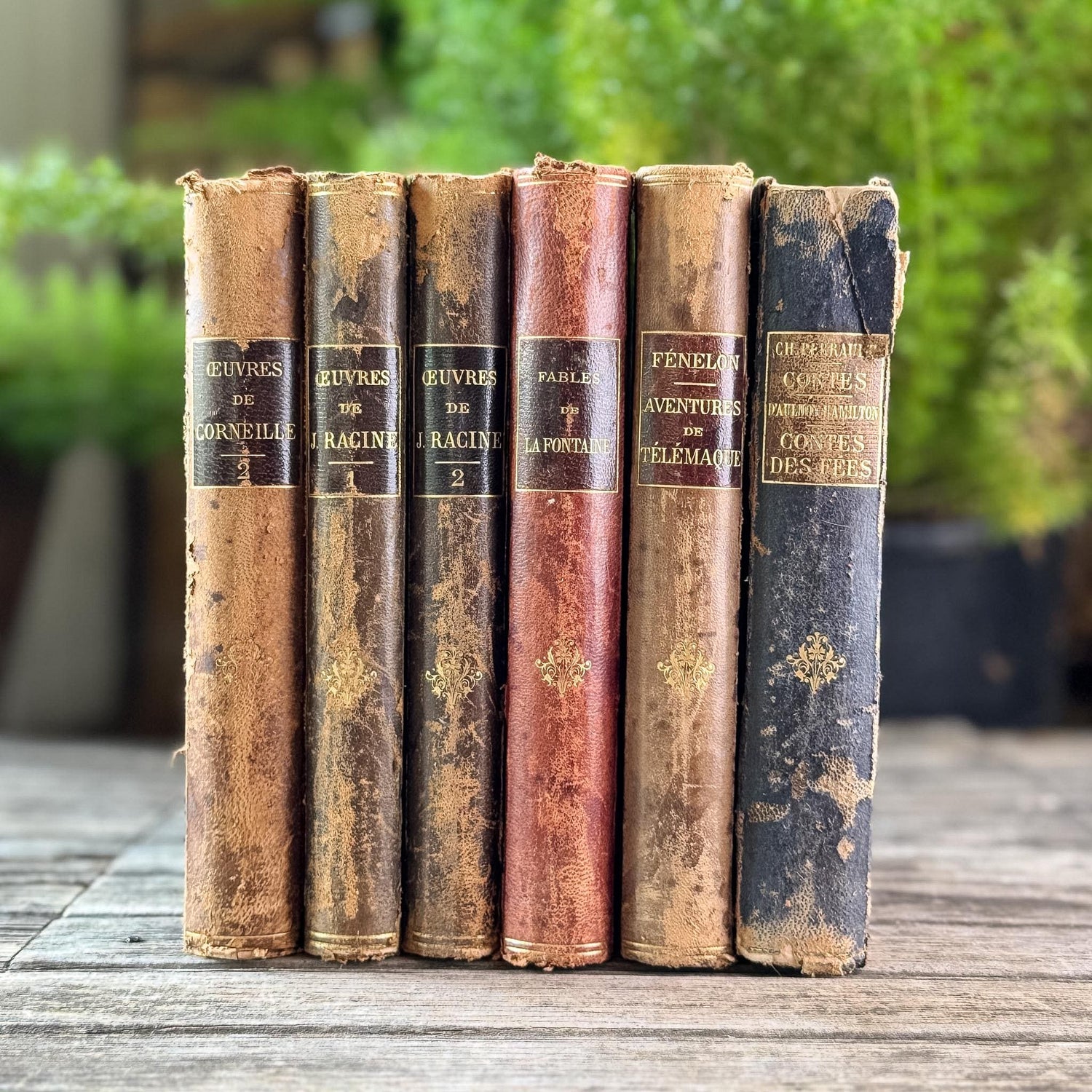 Antique French Leather-Bound Brown, Oxblood, and Navy Books for Library Styling