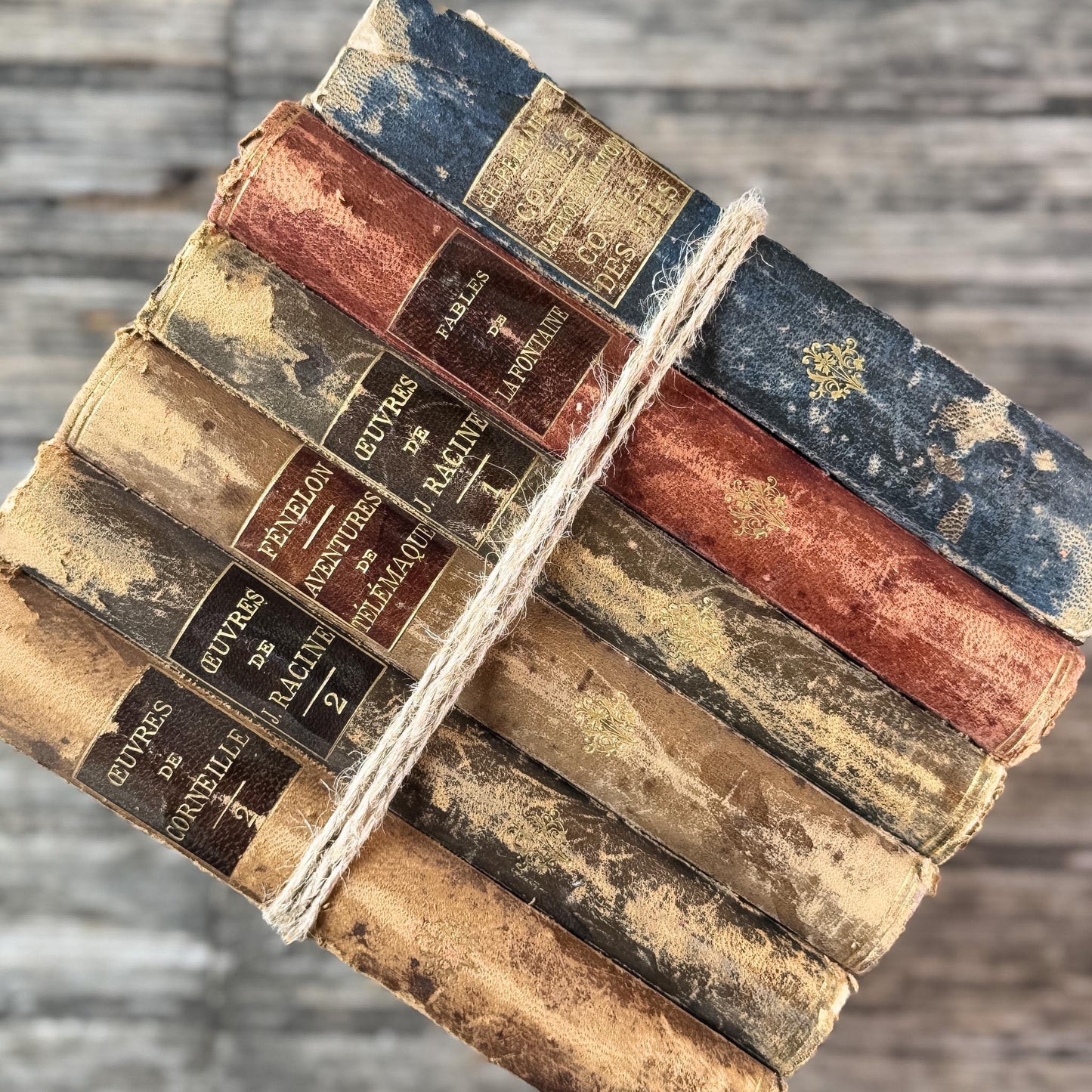 Antique French Leather-Bound Brown, Oxblood, and Navy Books for Library Styling