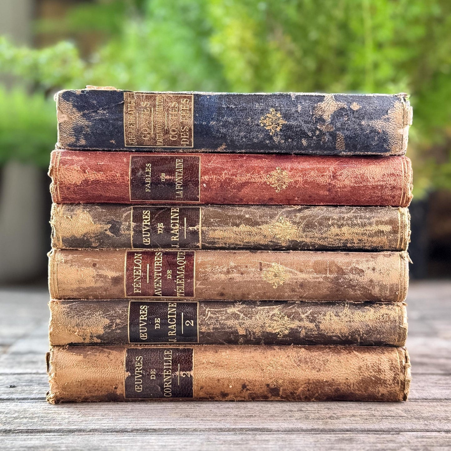 Antique French Leather-Bound Brown, Oxblood, and Navy Books for Library Styling