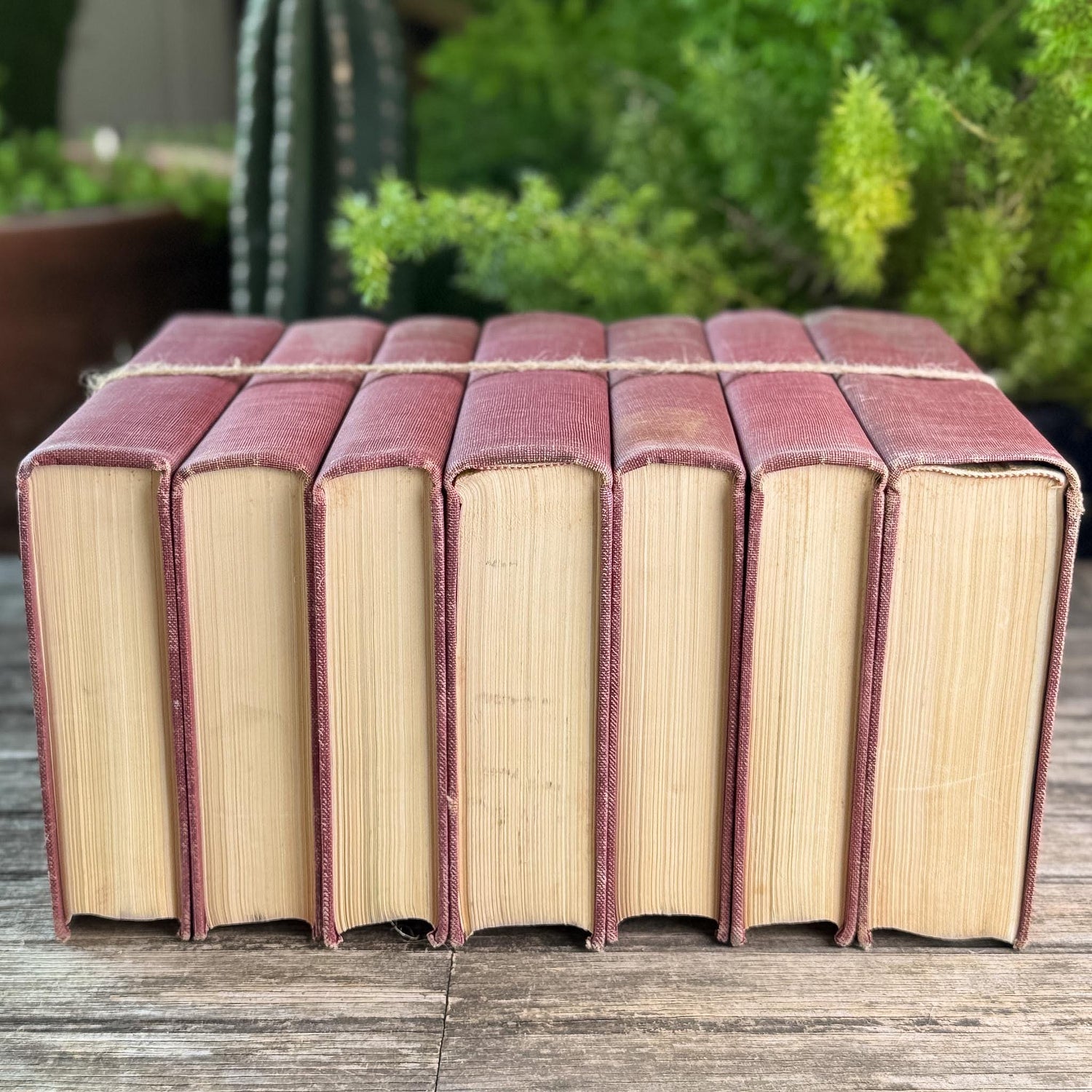 The Story of Civilization, Will and Ariel Durant, Red Partial Set