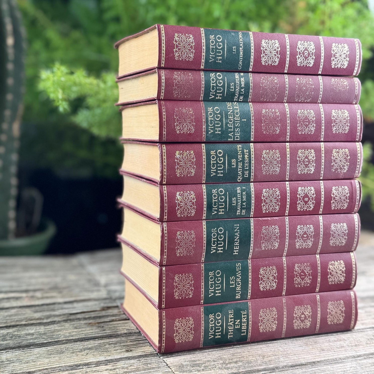 Victor Hugo Ornate Vintage Red and Green Books in French
