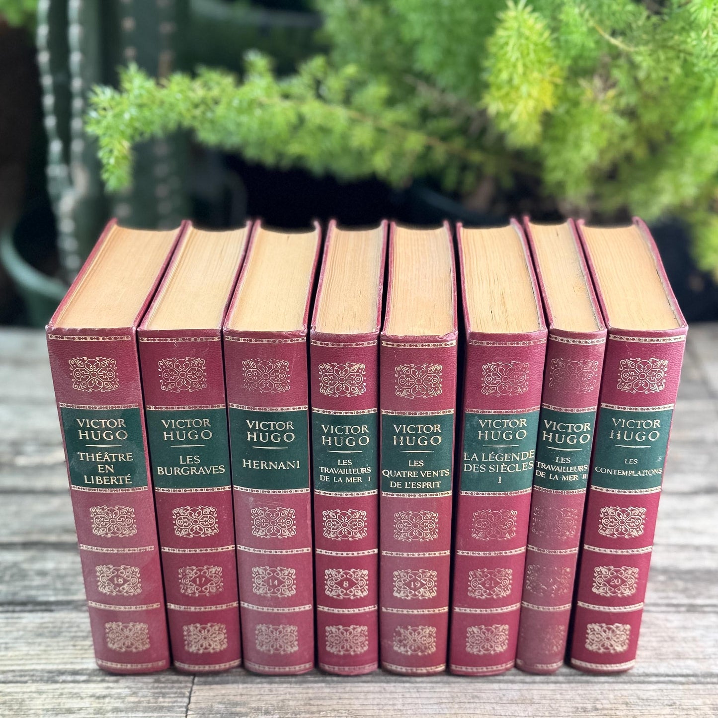 Victor Hugo Ornate Vintage Red and Green Books in French