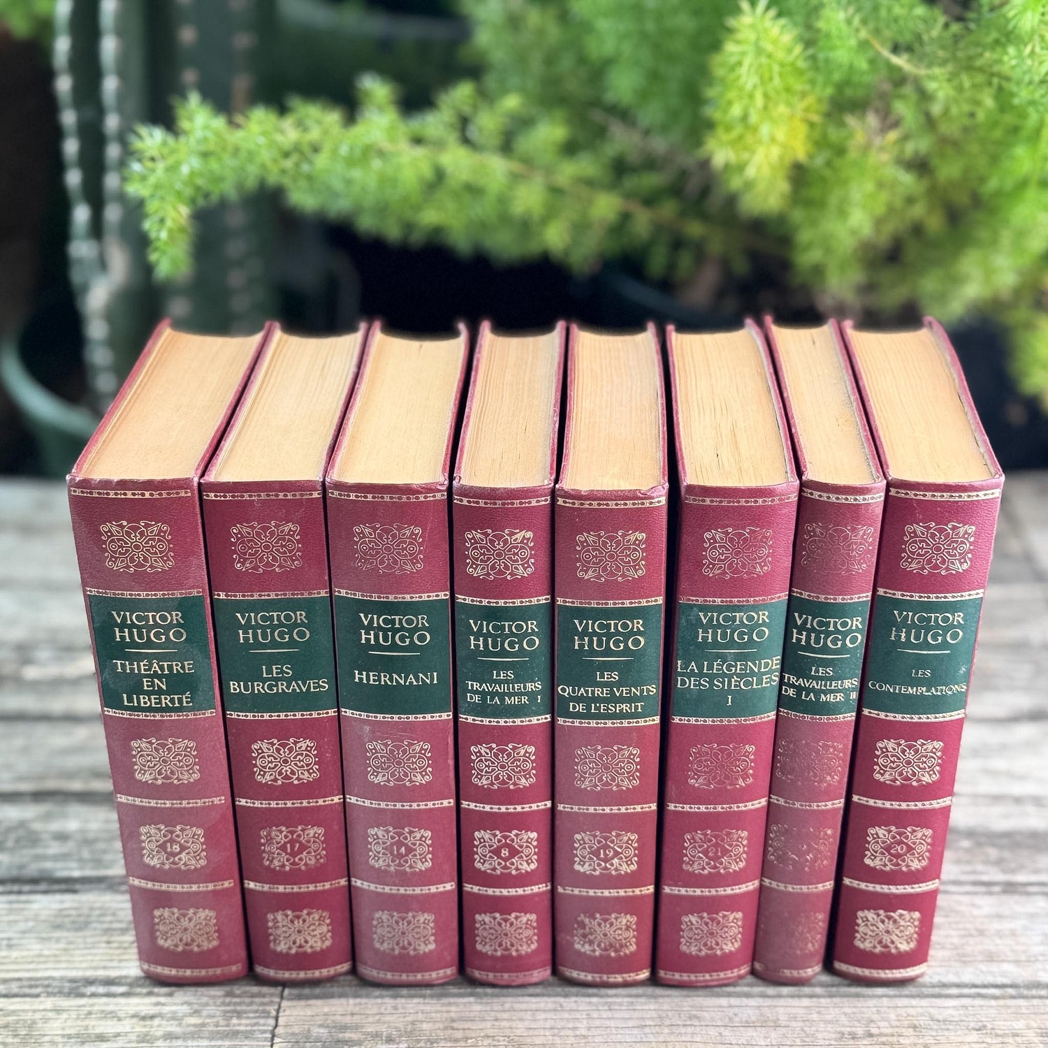 Victor Hugo Ornate Vintage Red and Green Books in French