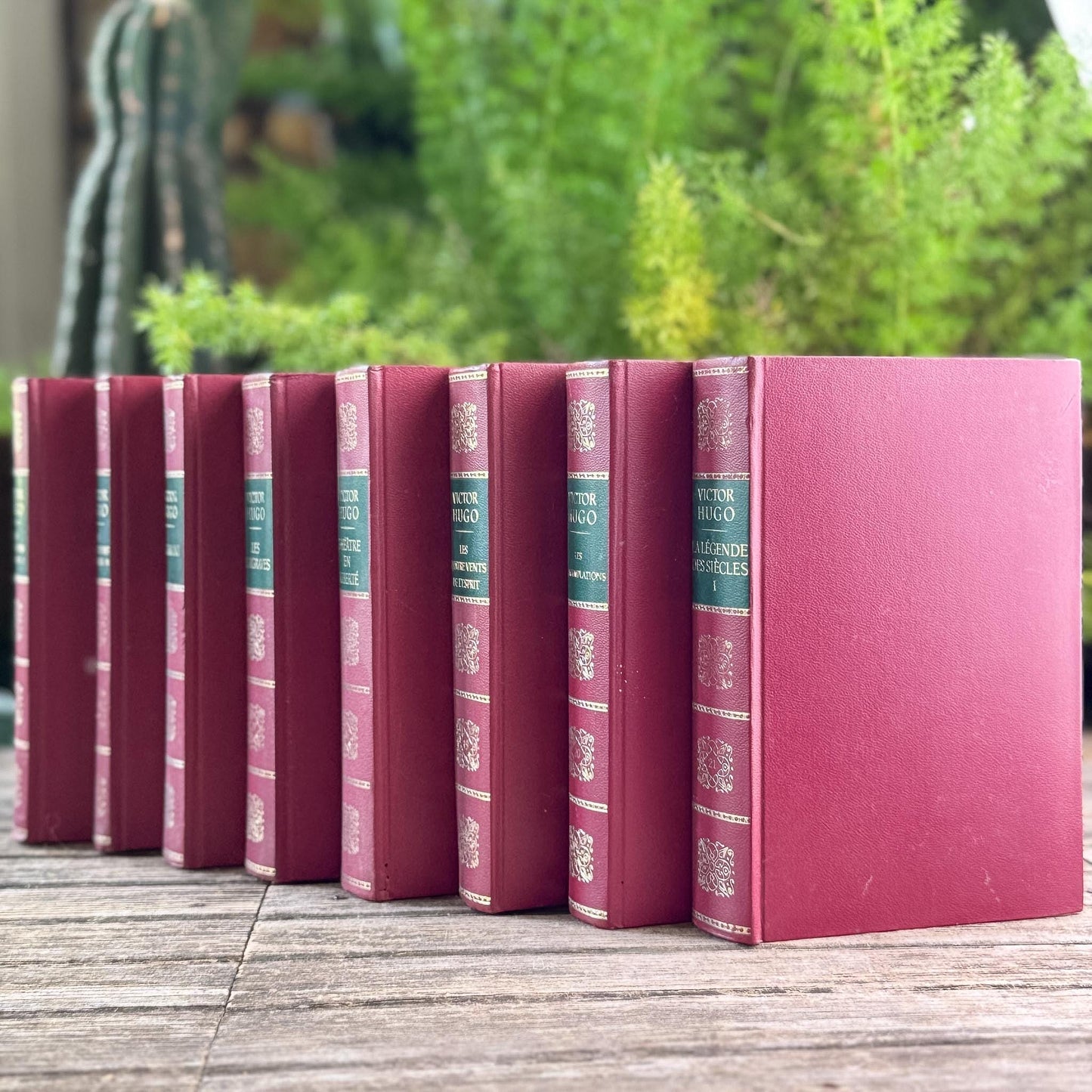 Victor Hugo Ornate Vintage Red and Green Books in French