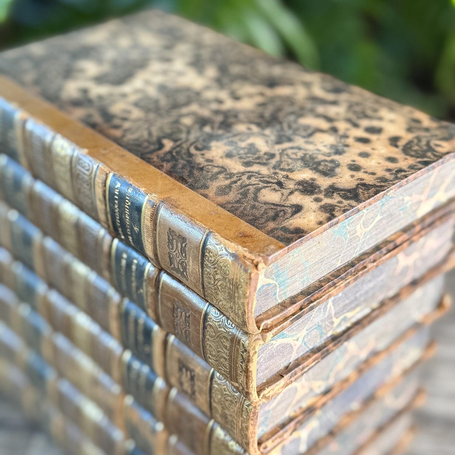 Antique Leather-Bound Voltaire Books in French, 1825, Gold Black and Brown
