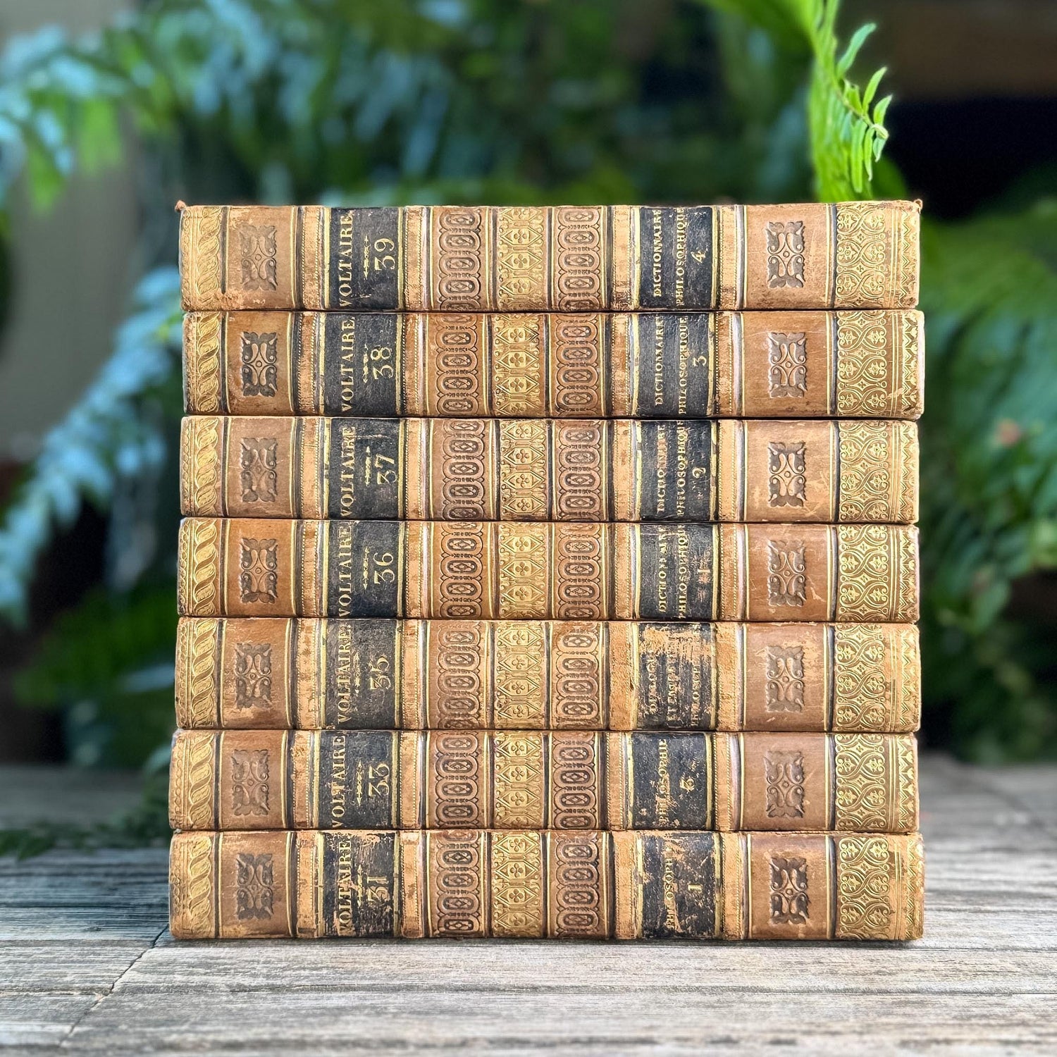 Antique Leather-Bound Voltaire Books in French, 1825, Gold Black and Brown