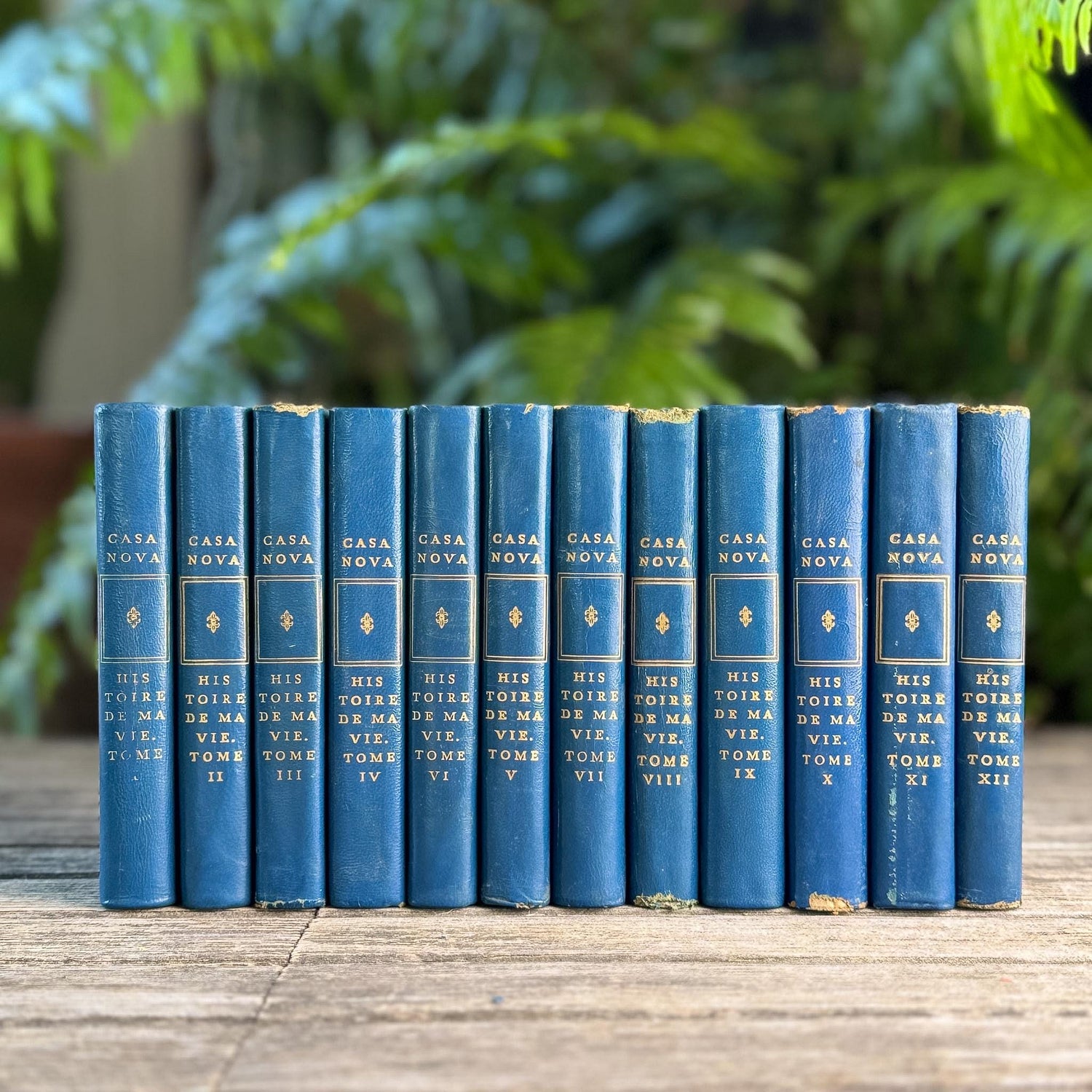 Memoirs of Casanova, Vintage Blue Mini Books in French