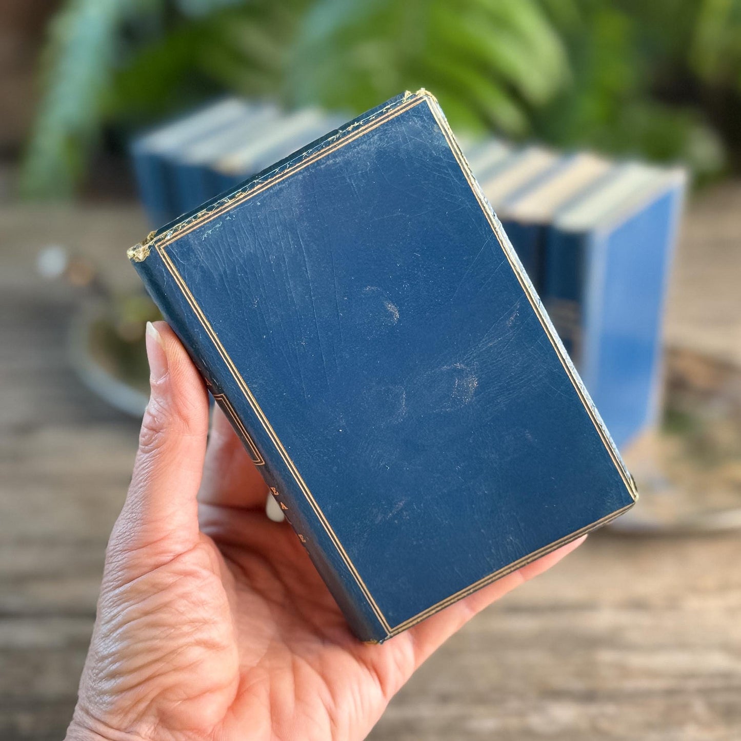 Memoirs of Casanova, Vintage Blue Mini Books in French