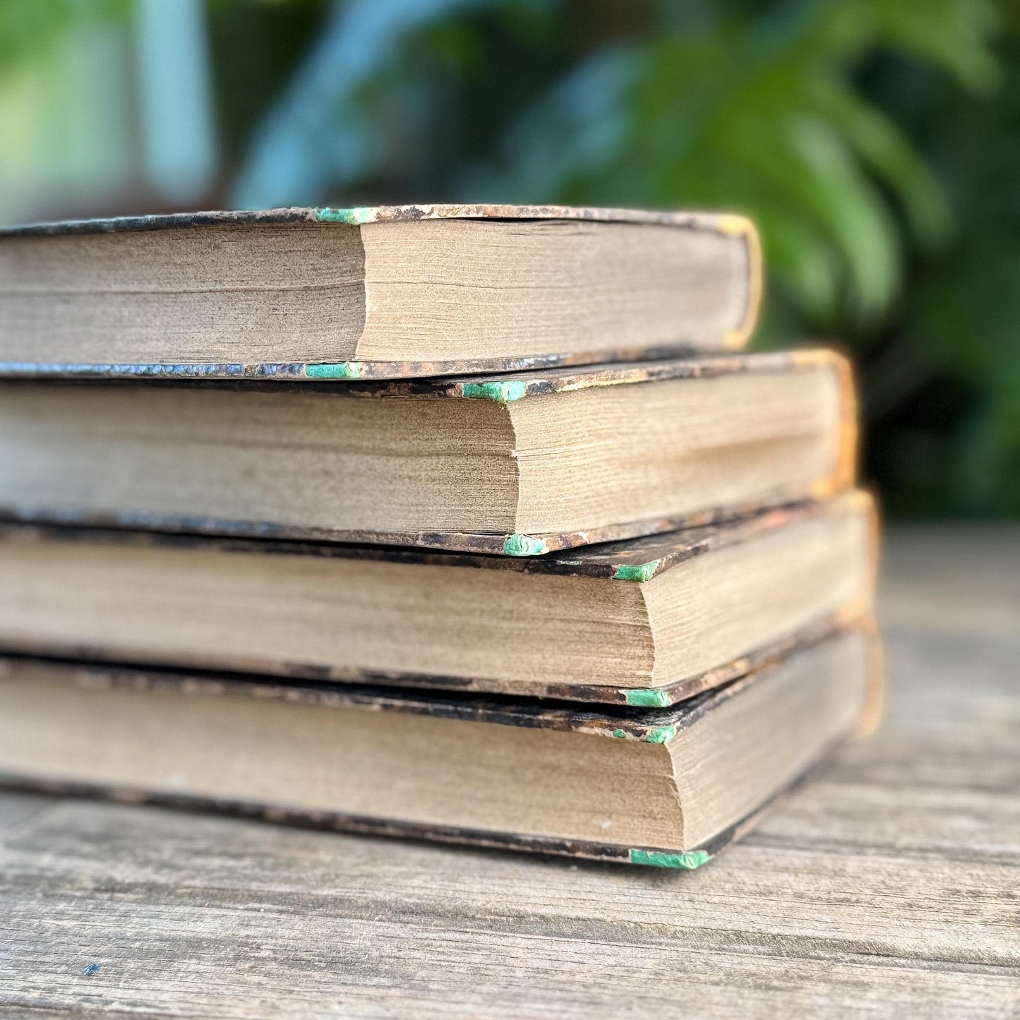 Antique Leather-Bound French Book Set, Topffer, 1860s