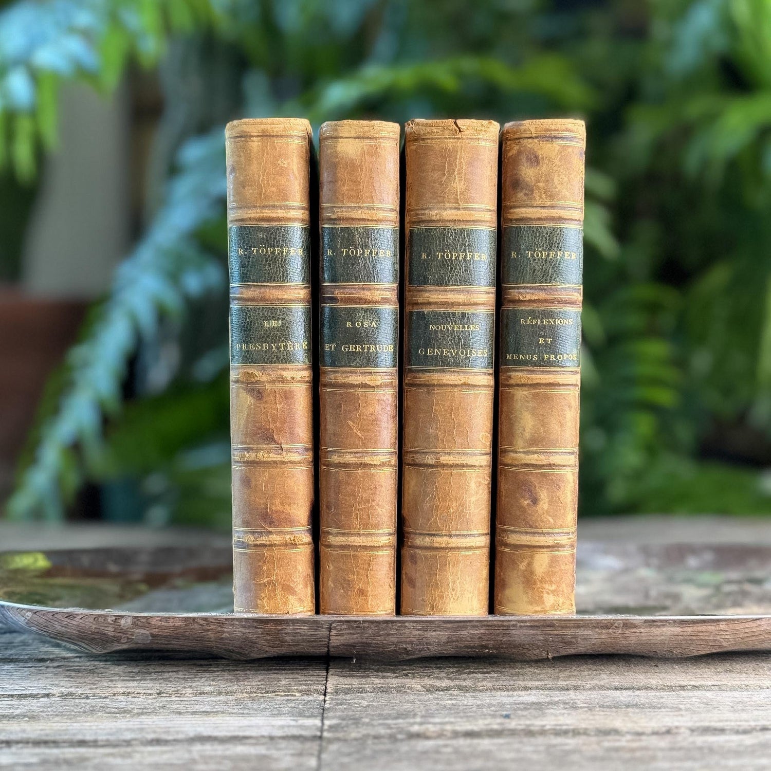 Antique Leather-Bound French Book Set, Topffer, 1860s