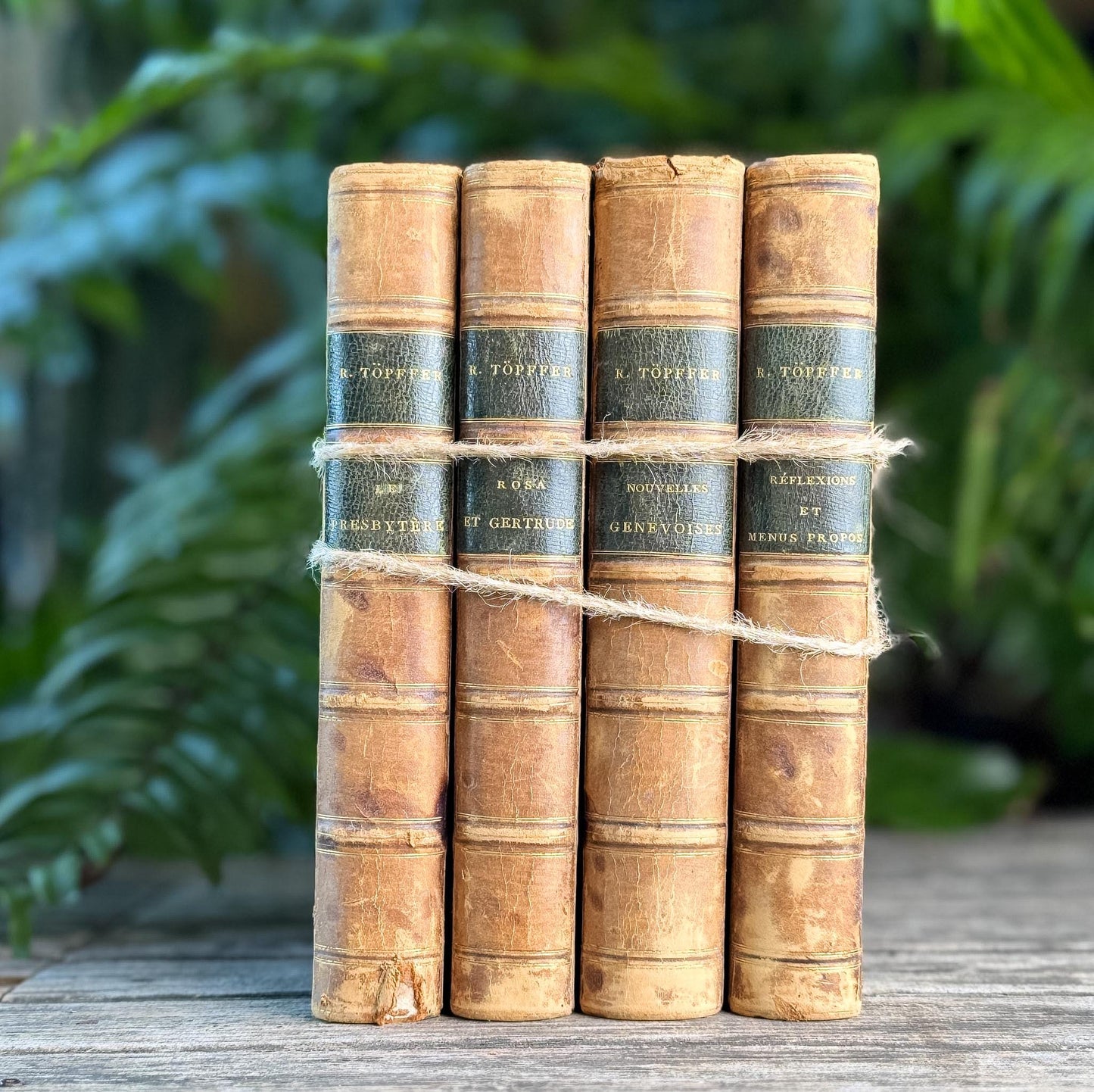 Antique Leather-Bound French Book Set, Topffer, 1860s