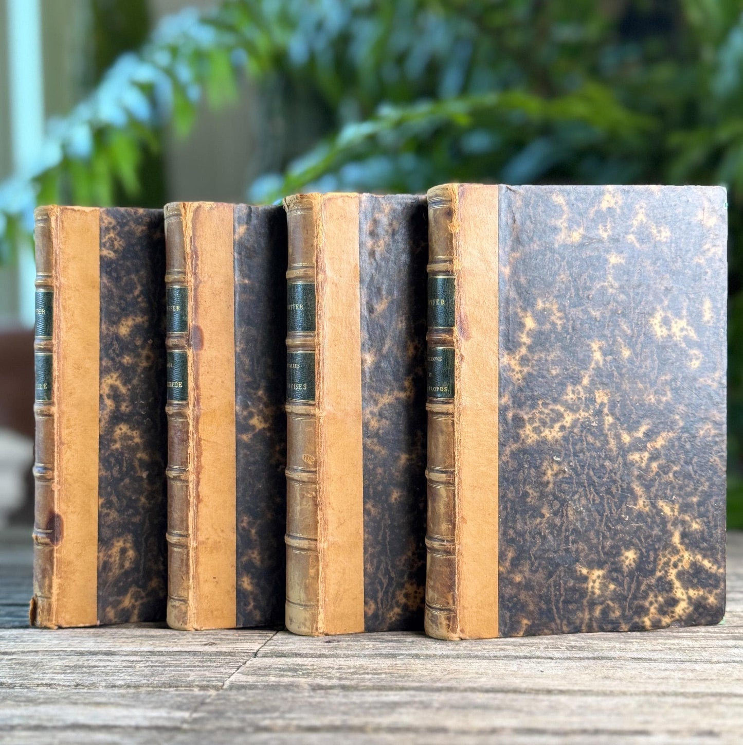 Antique Leather-Bound French Book Set, Topffer, 1860s