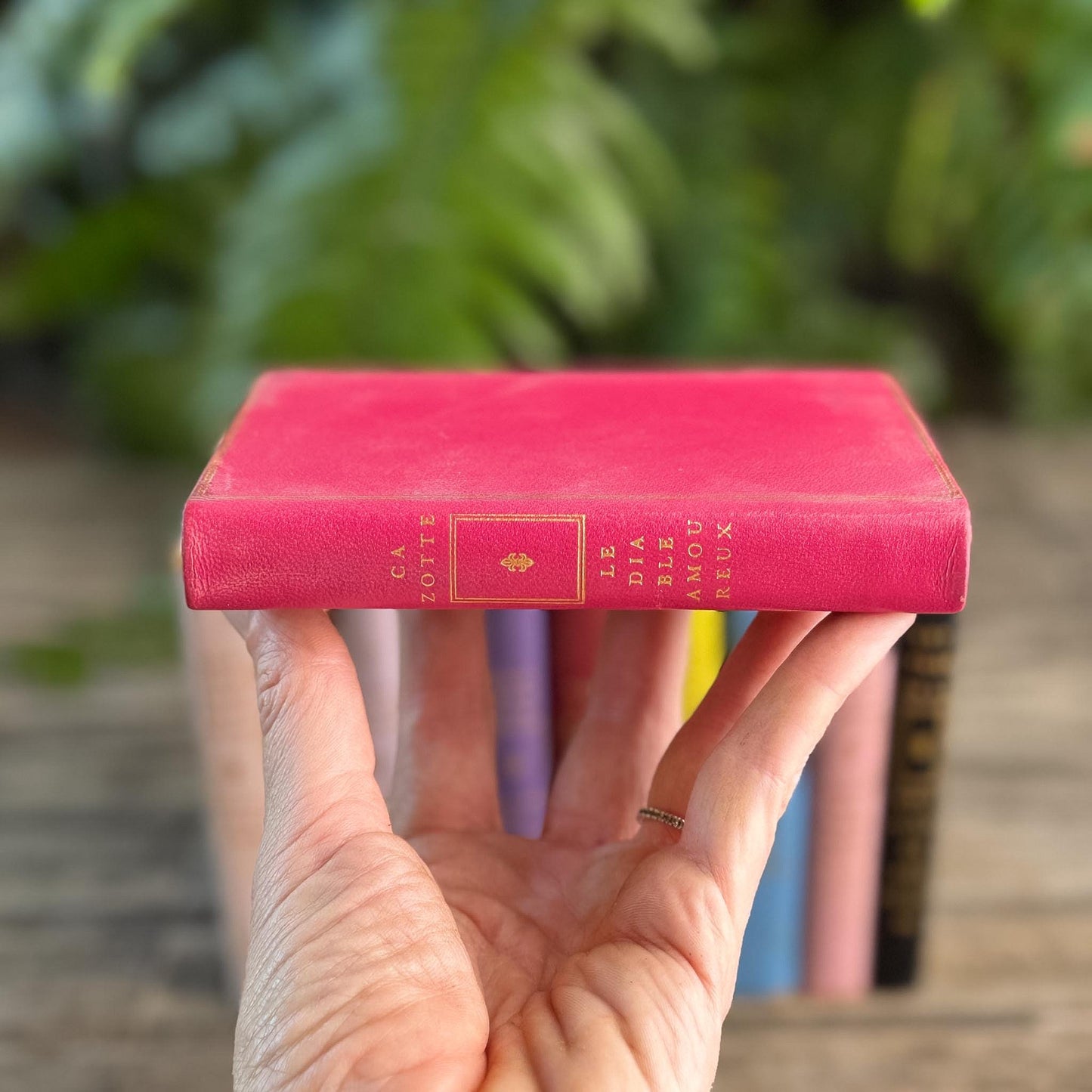 Vintage French Classics Book Set of 11 Jewel-Tone Leather Volumes from Le Club Français du Livre