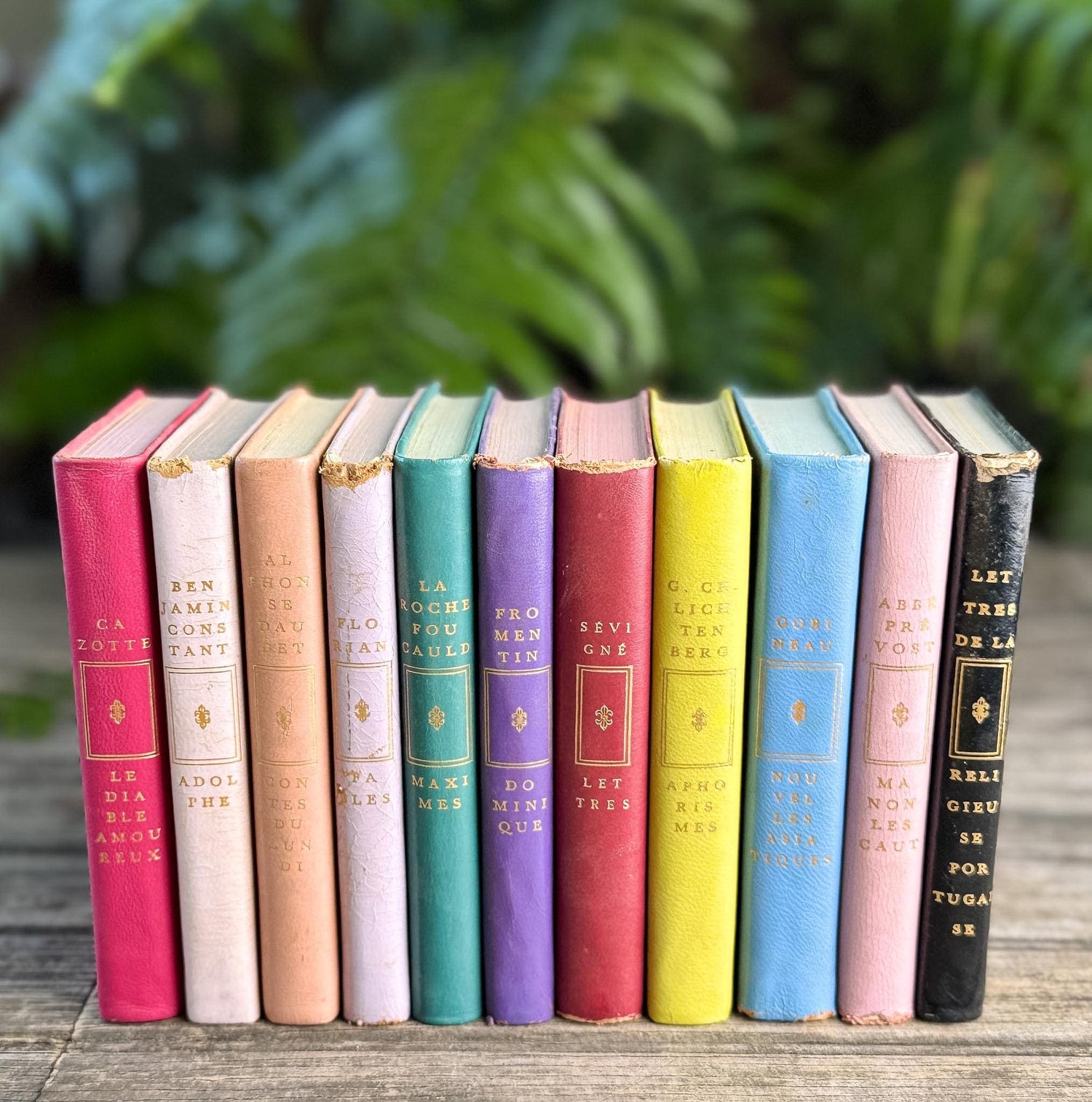 Vintage French Classics Book Set of 11 Jewel-Tone Leather Volumes from Le Club Français du Livre
