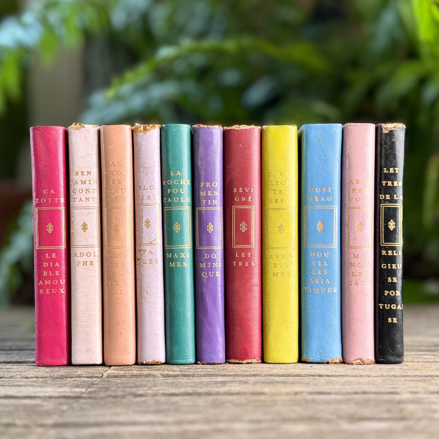 Vintage French Classics Book Set of 11 Jewel-Tone Leather Volumes from Le Club Français du Livre