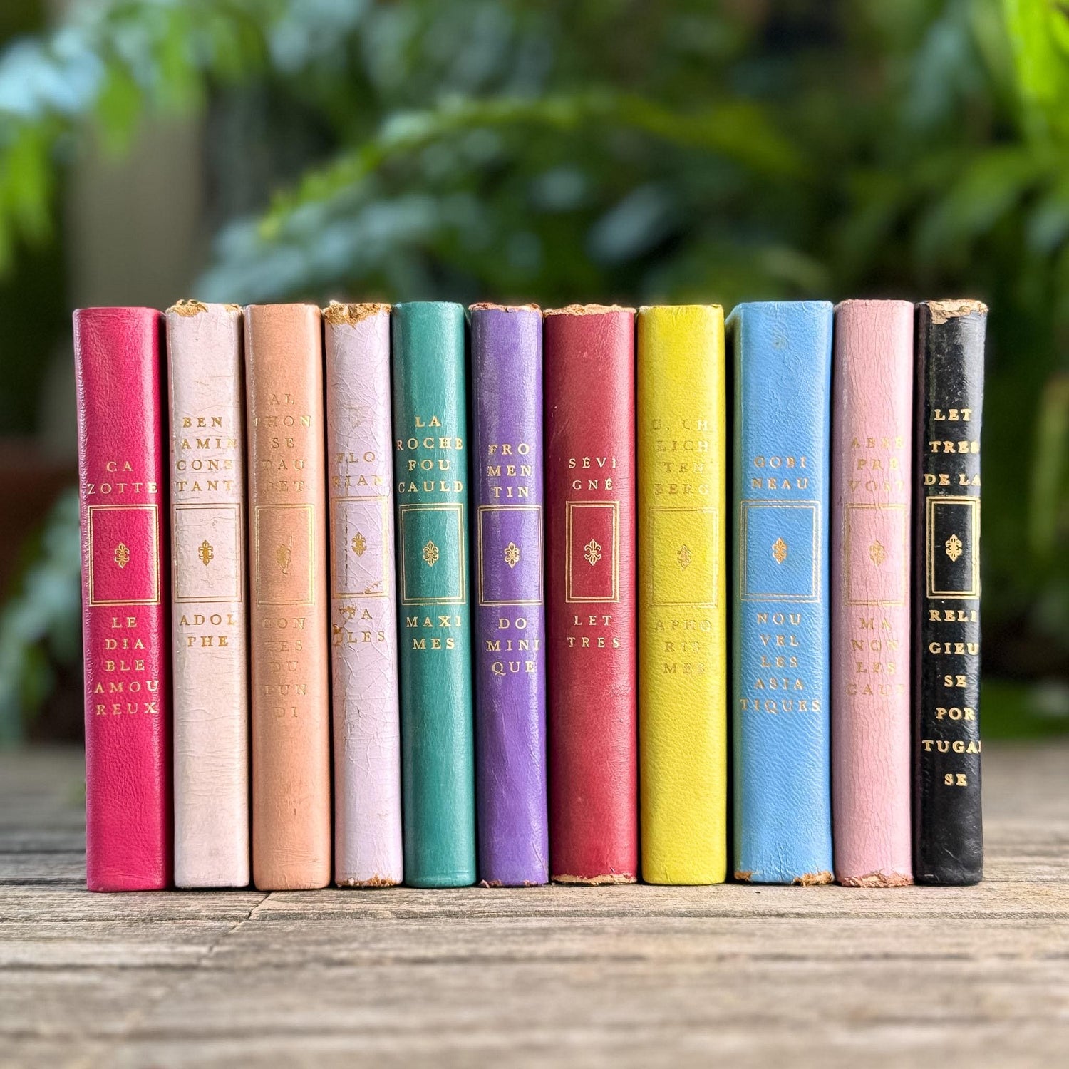 Vintage French Classics Book Set of 11 Jewel-Tone Leather Volumes from Le Club Français du Livre