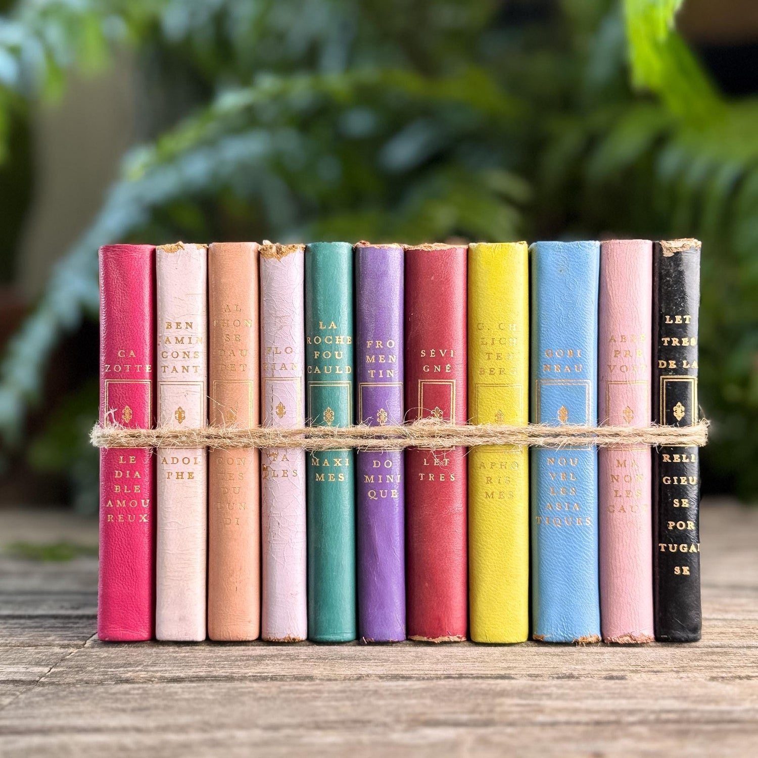 Vintage French Classics Book Set of 11 Jewel-Tone Leather Volumes from Le Club Français du Livre