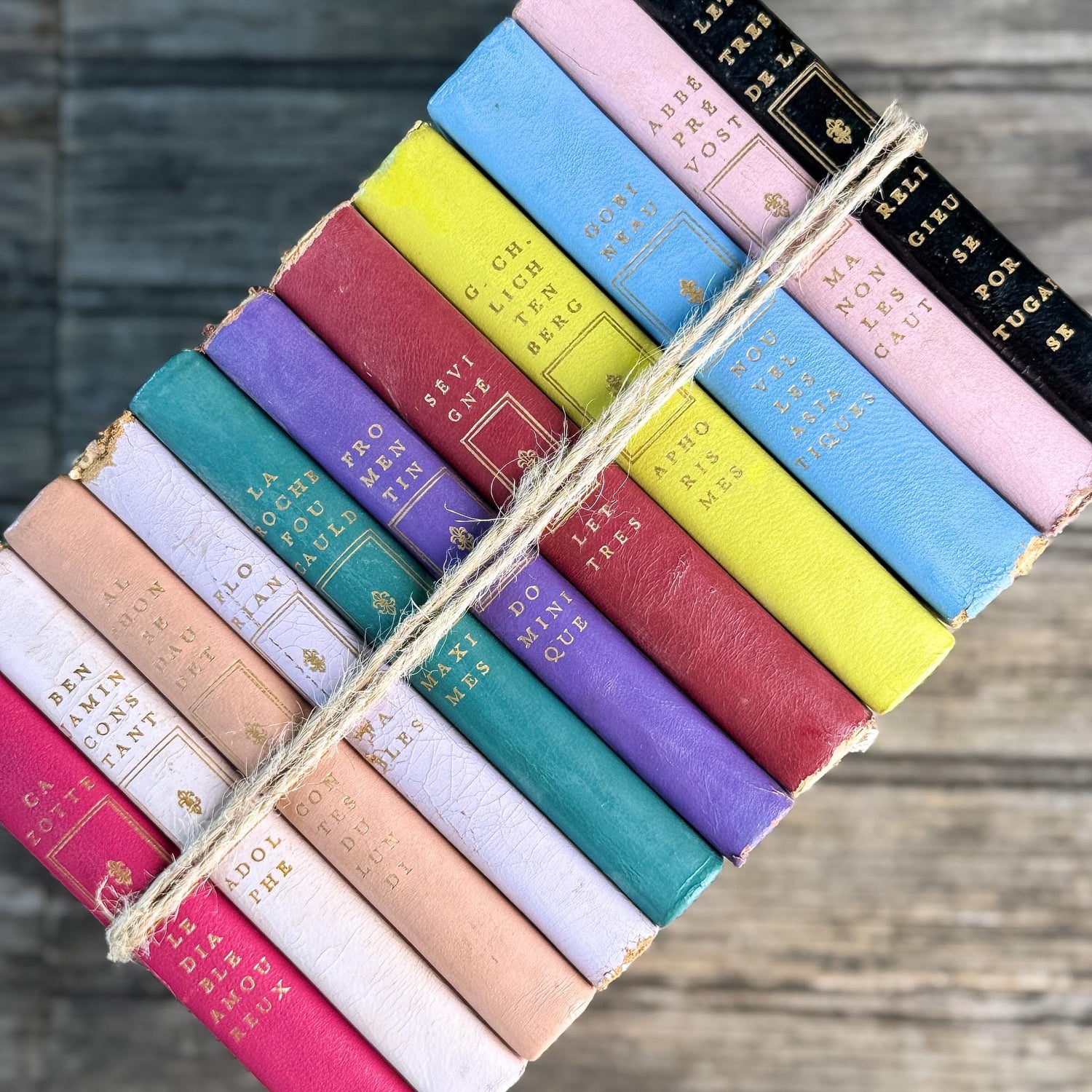Vintage French Classics Book Set of 11 Jewel-Tone Leather Volumes from Le Club Français du Livre