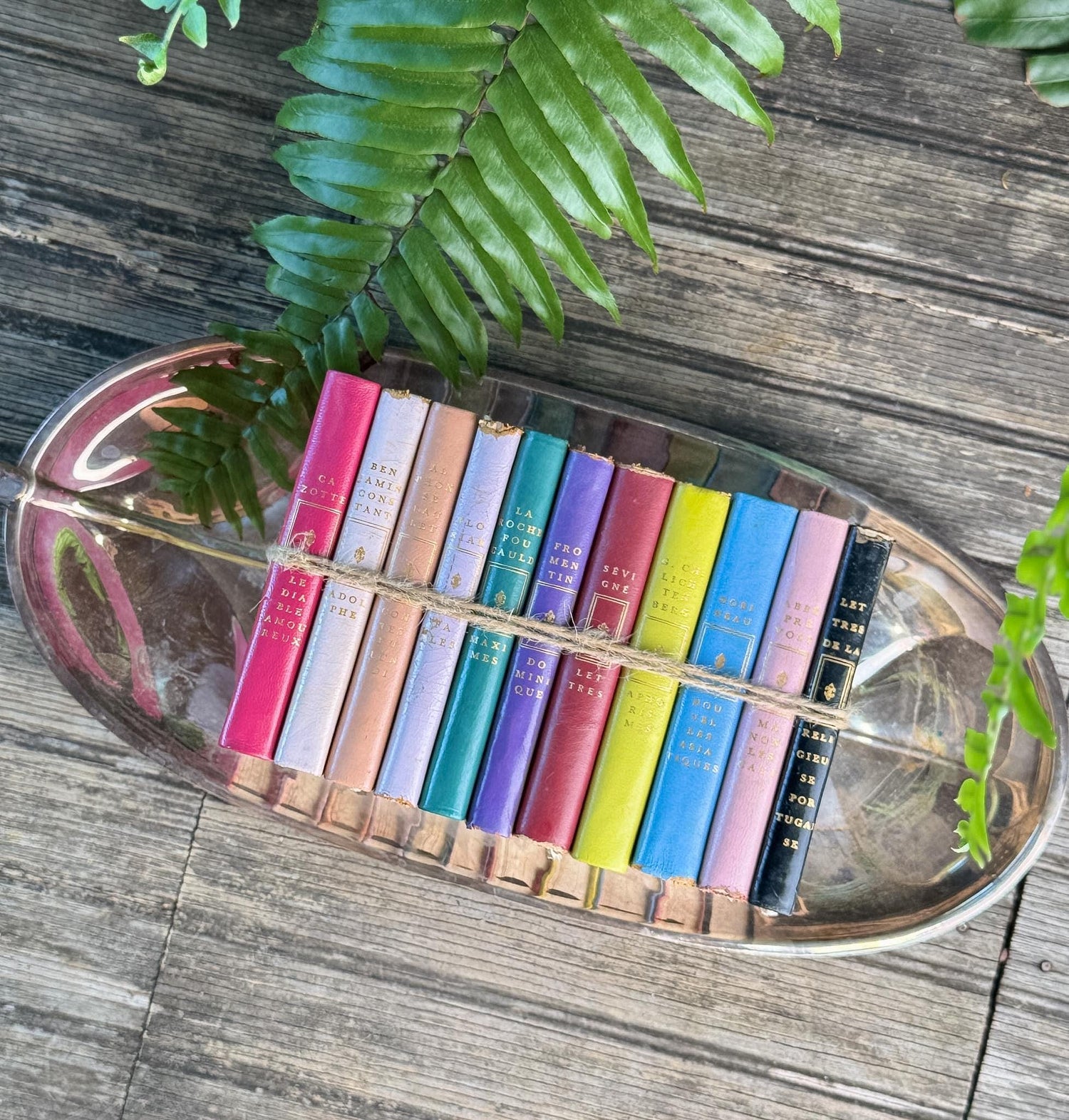 Vintage French Classics Book Set of 11 Jewel-Tone Leather Volumes from Le Club Français du Livre