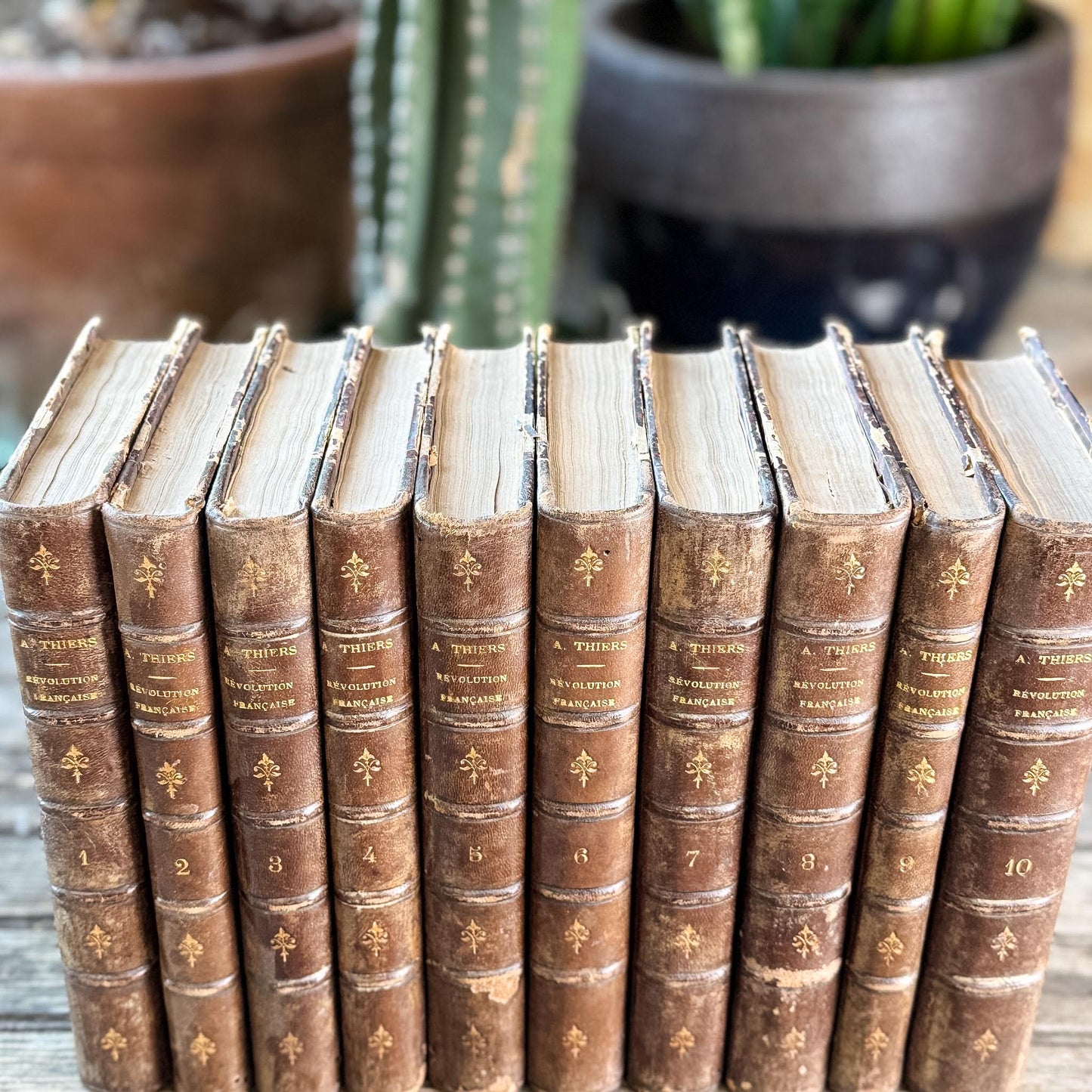 Antique French Leather Book Set, Thiers Histoire de la Révolution Française, 1834, 10 Volumes