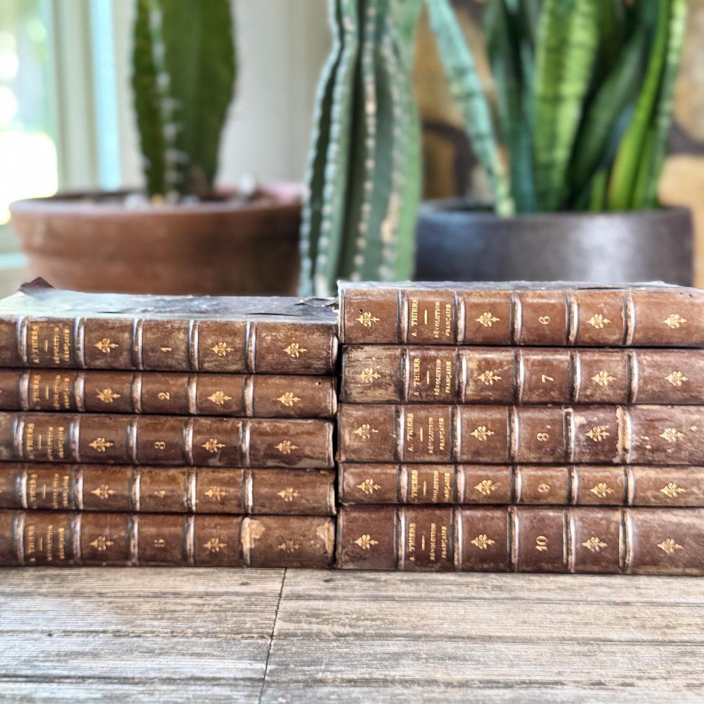 Antique French Leather Book Set, Thiers Histoire de la Révolution Française, 1834, 10 Volumes