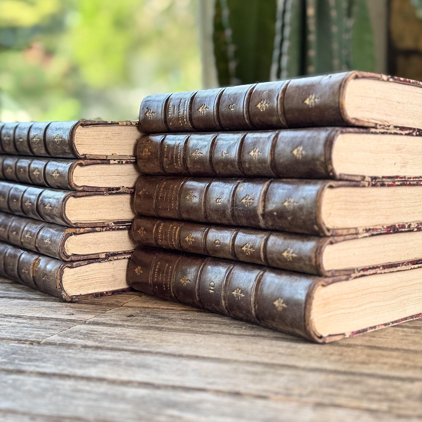 Antique French Leather Book Set, Thiers Histoire de la Révolution Française, 1834, 10 Volumes