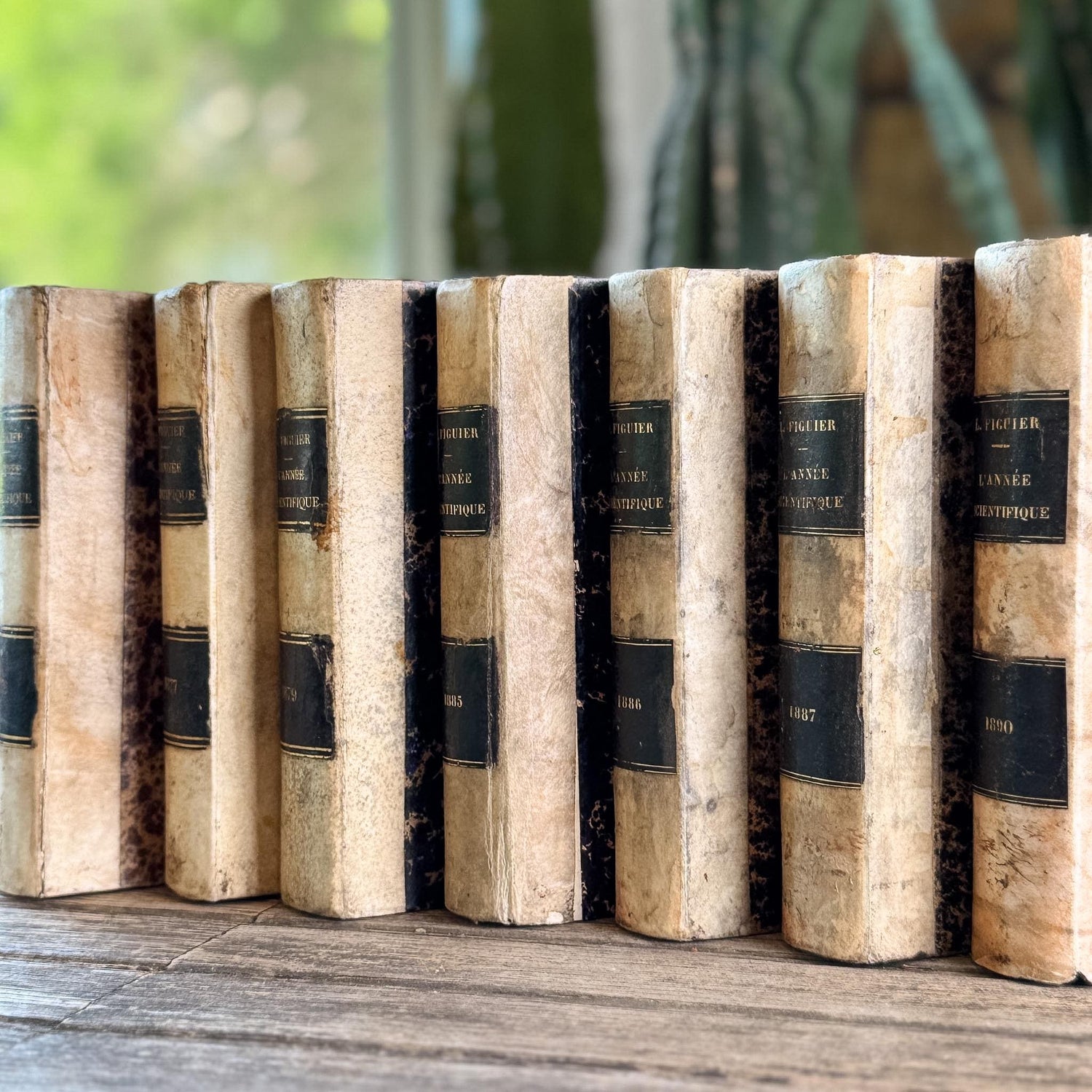 Antique French Book Set of L'Année Scientifique et Industrielle by Louis Figuier, 7 Volumes