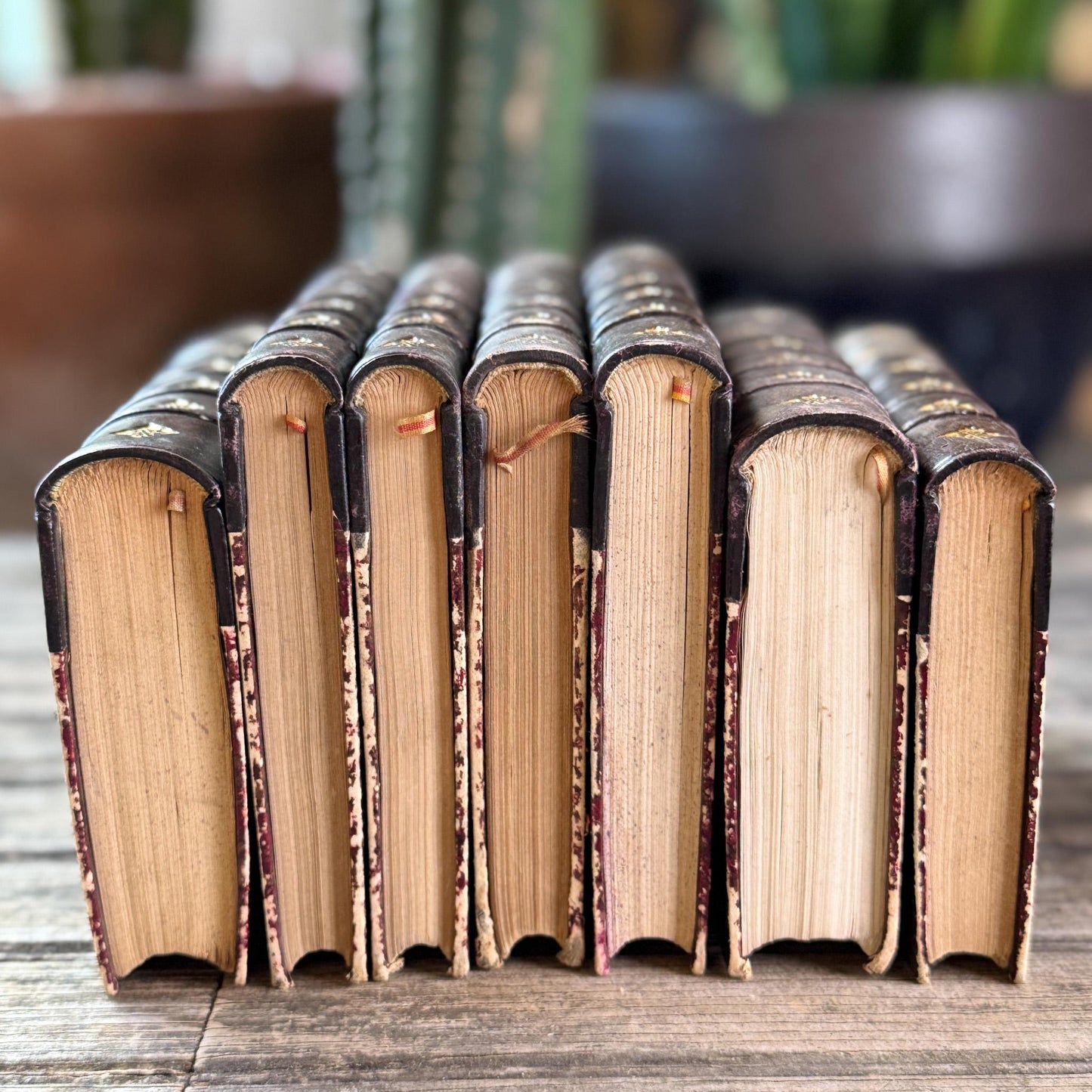 Dark Brown Leather French Antique Book Set