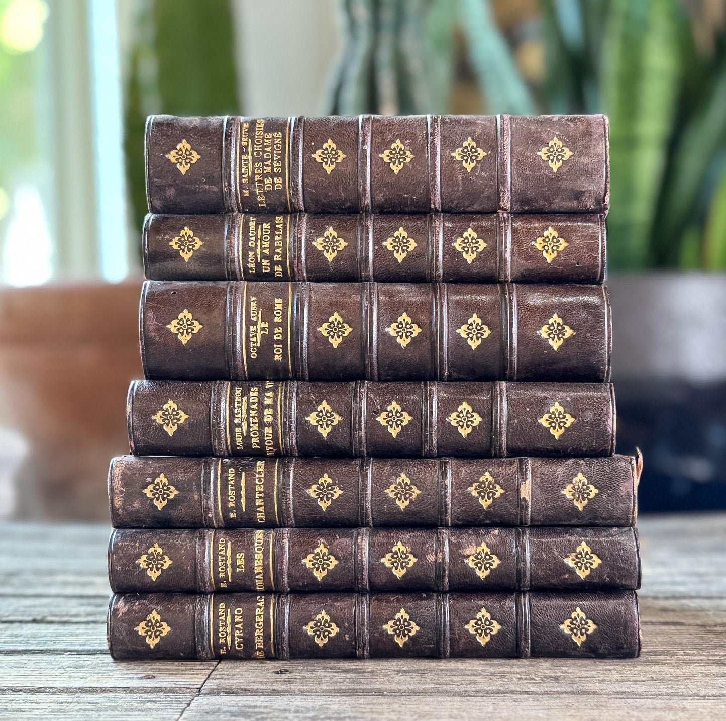 Dark Brown Leather French Antique Book Set